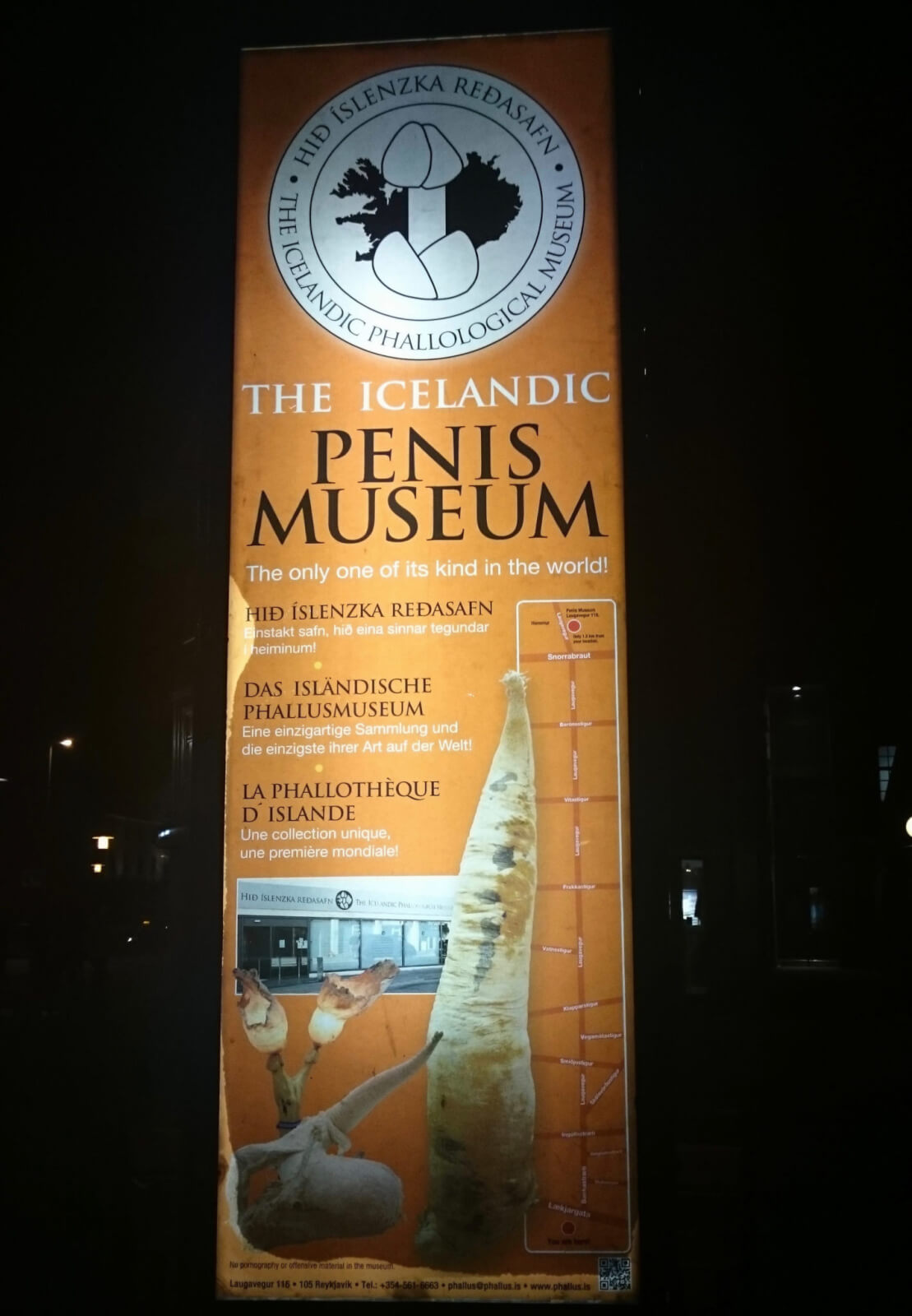 An illuminated sign for the Icelandic Penis Museum