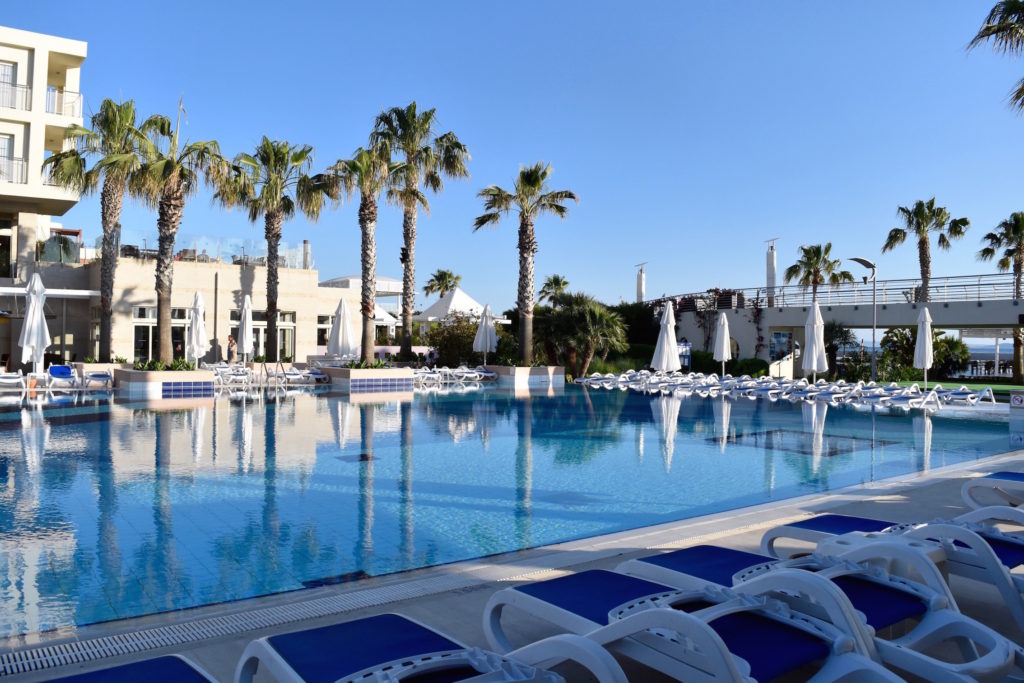 Large swimming pool surrounded by palm trees