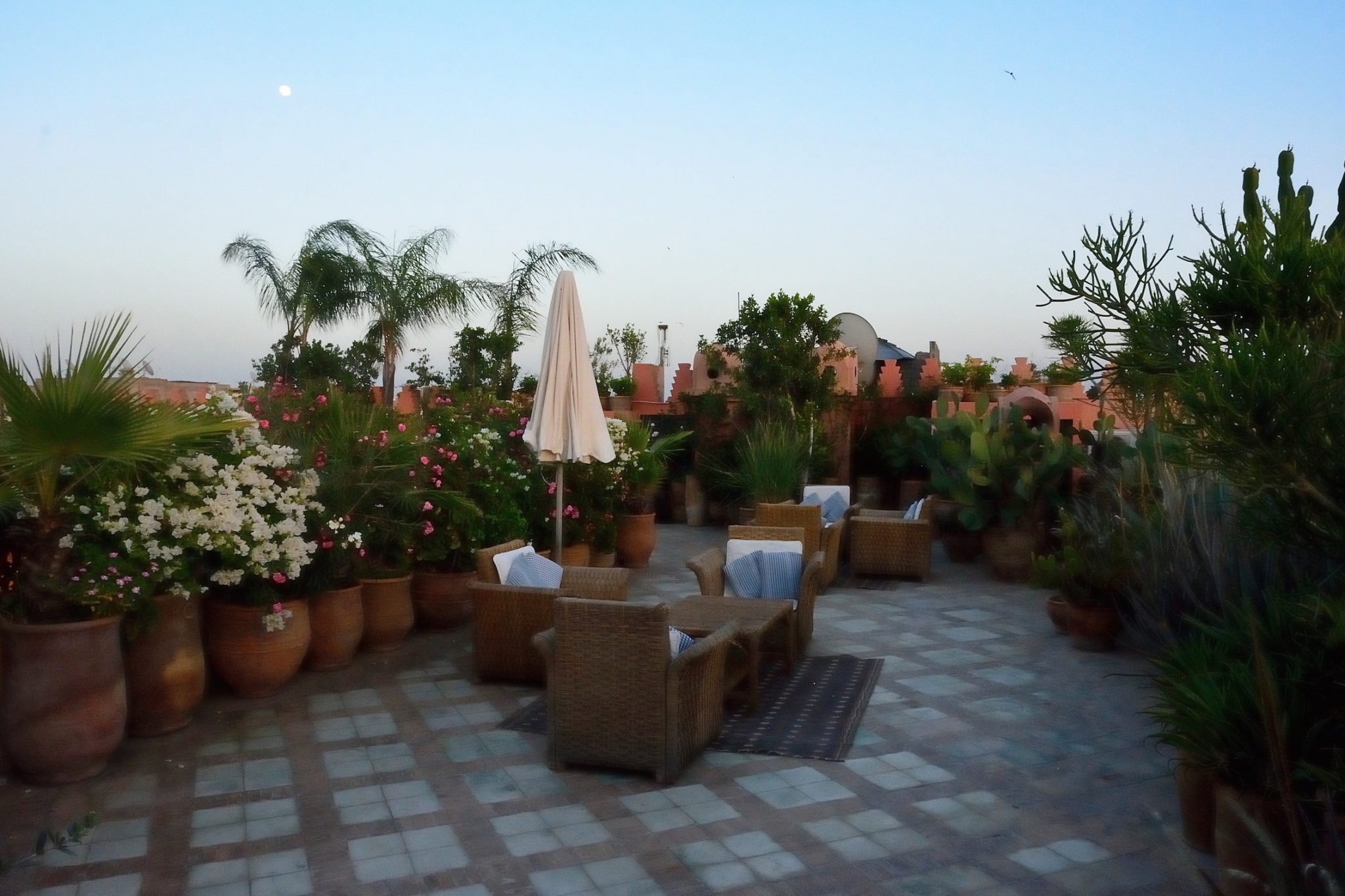 Dar Les Cigognes Salt restaurant, The Sanssouci Collection, Marrakech – Review