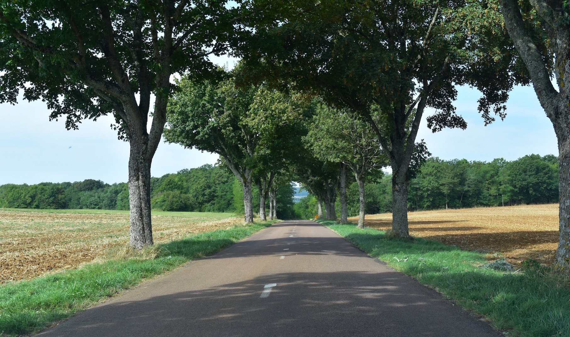 Driving through the Burgundy countryside