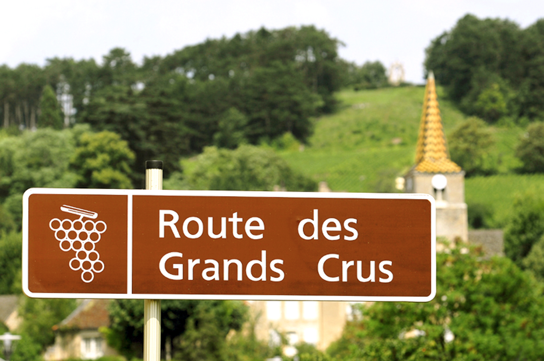 a road sign for the Route des Grands Crus