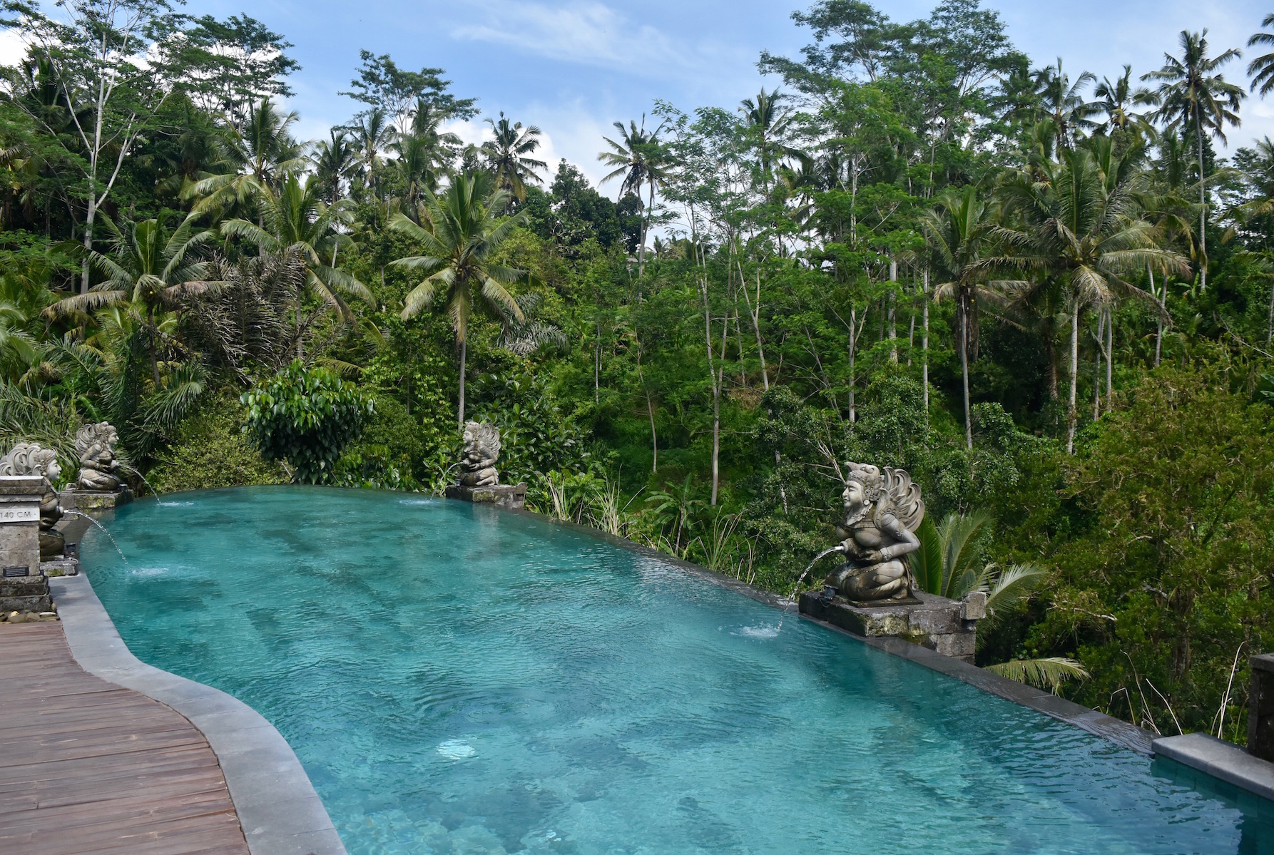 A infinity pool in the jungle
