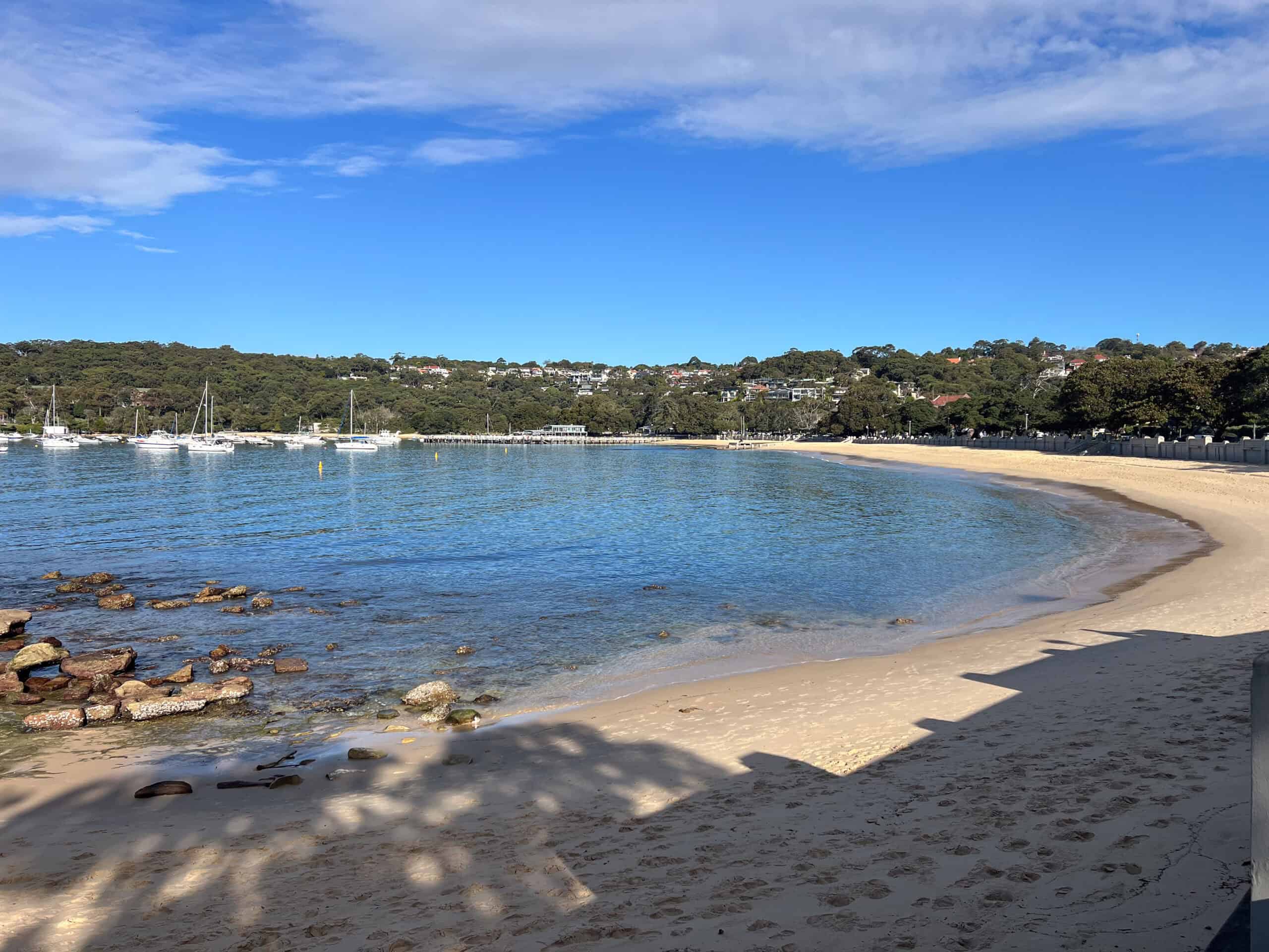 A curved sandy harbour beach in Sydney