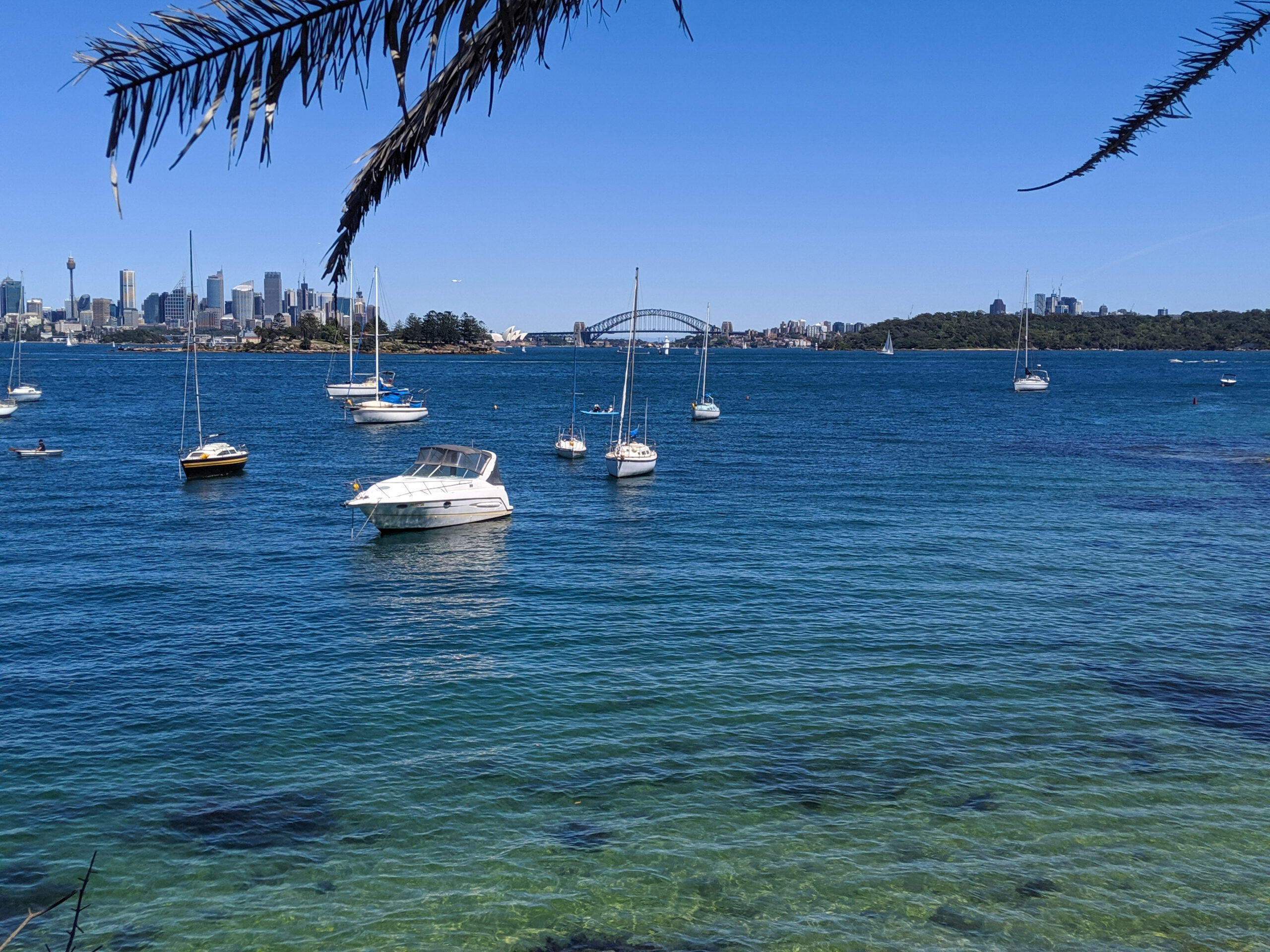Views of the city of Sydney from Milk Beach