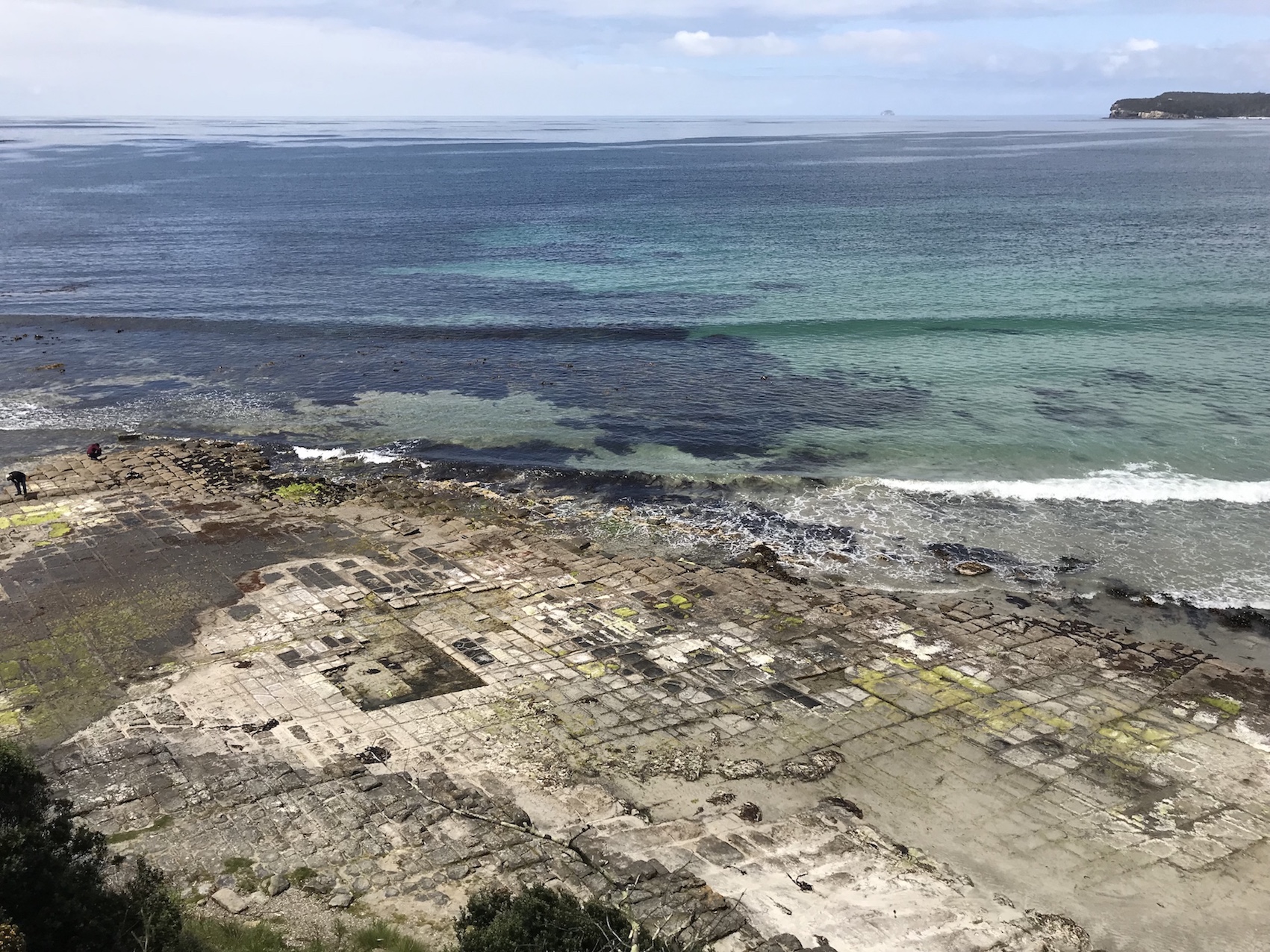 The Tessellated Pavement in Tasmania 