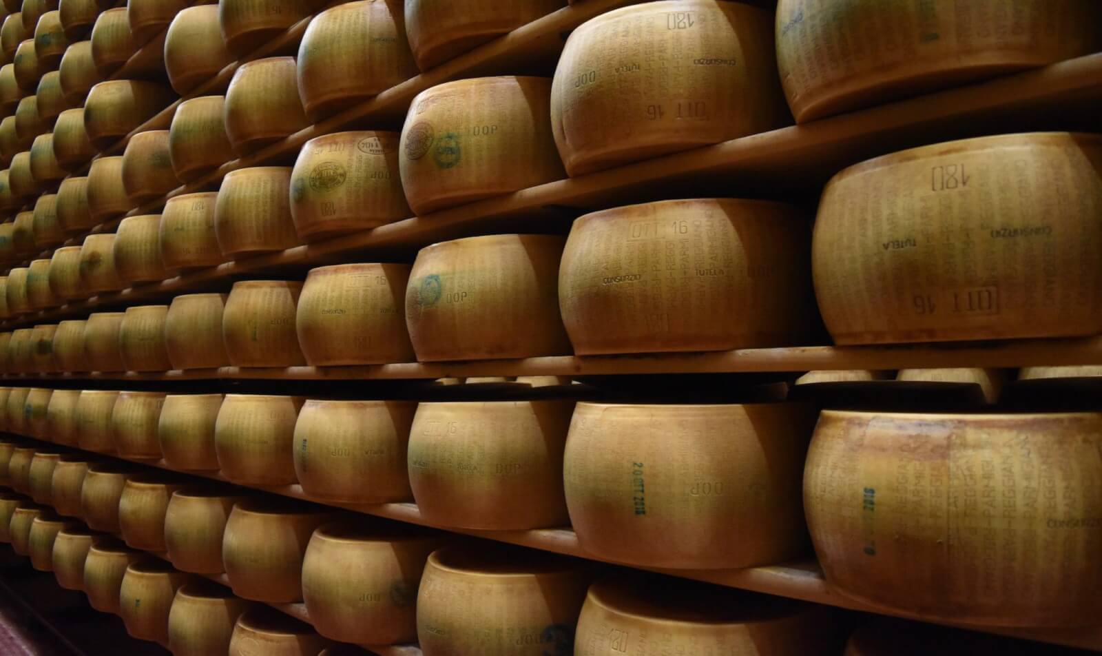 rows and rows of parmigiano reggiano