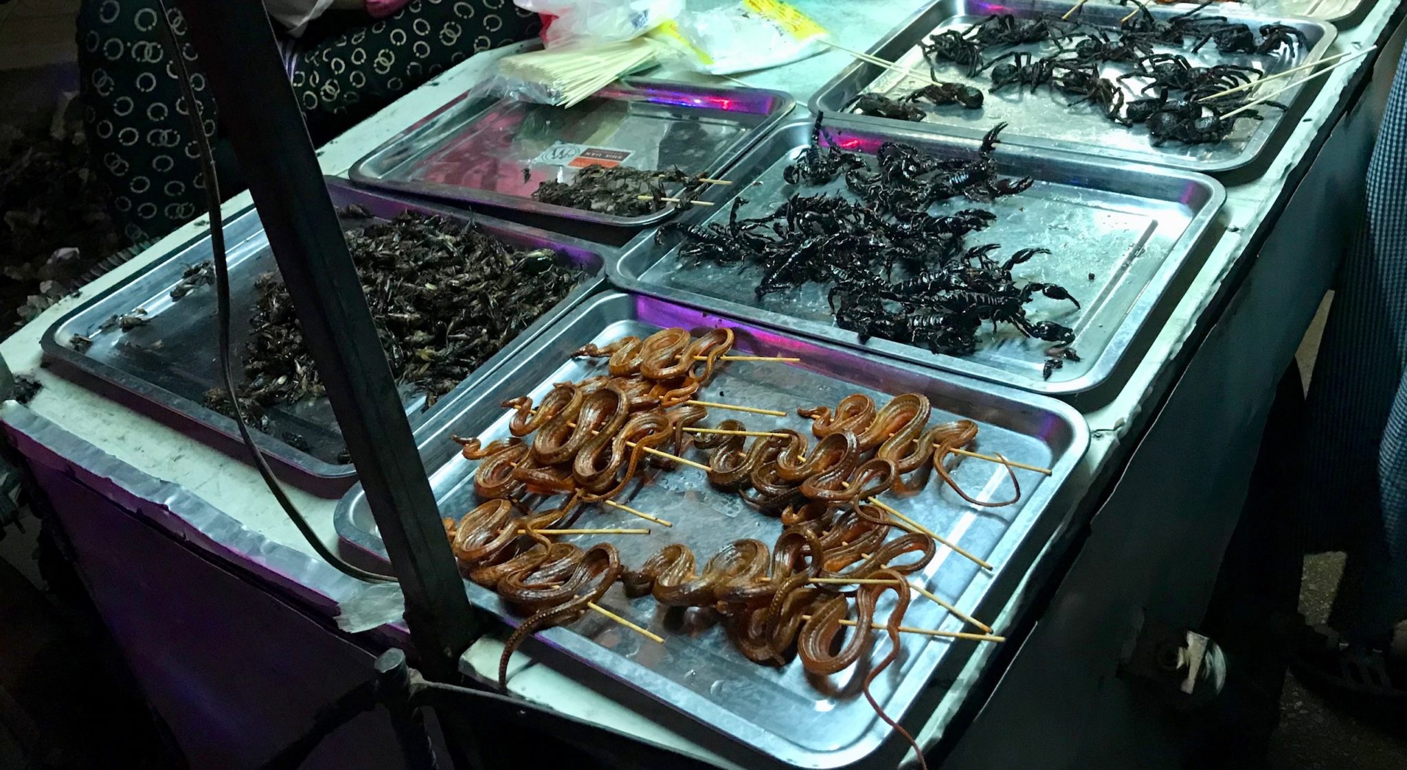 Fried scorpions and snakes at a market stall
