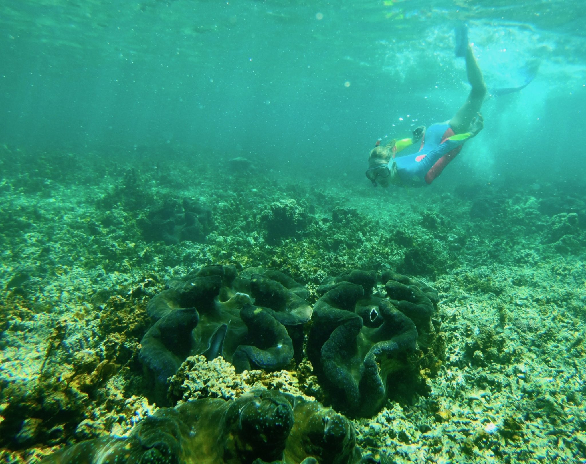 Hayley snorkelling in Samoa with a rashsuit