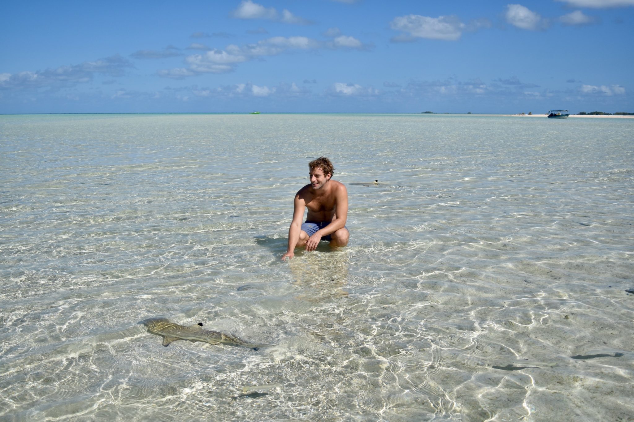 Enrico with the sharks in the Blue Lagoon