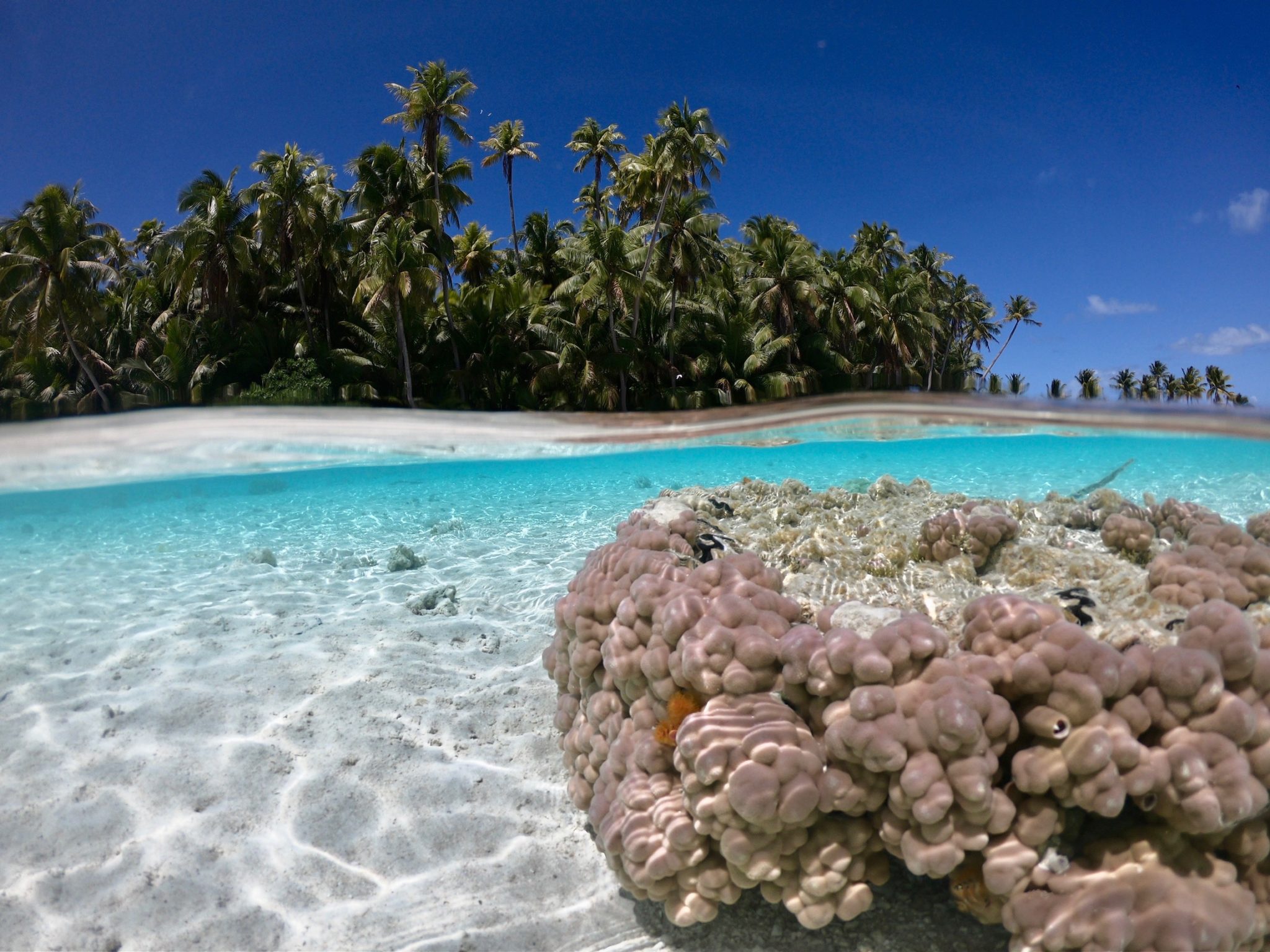 A Guide to the Islands of the South Pacific
