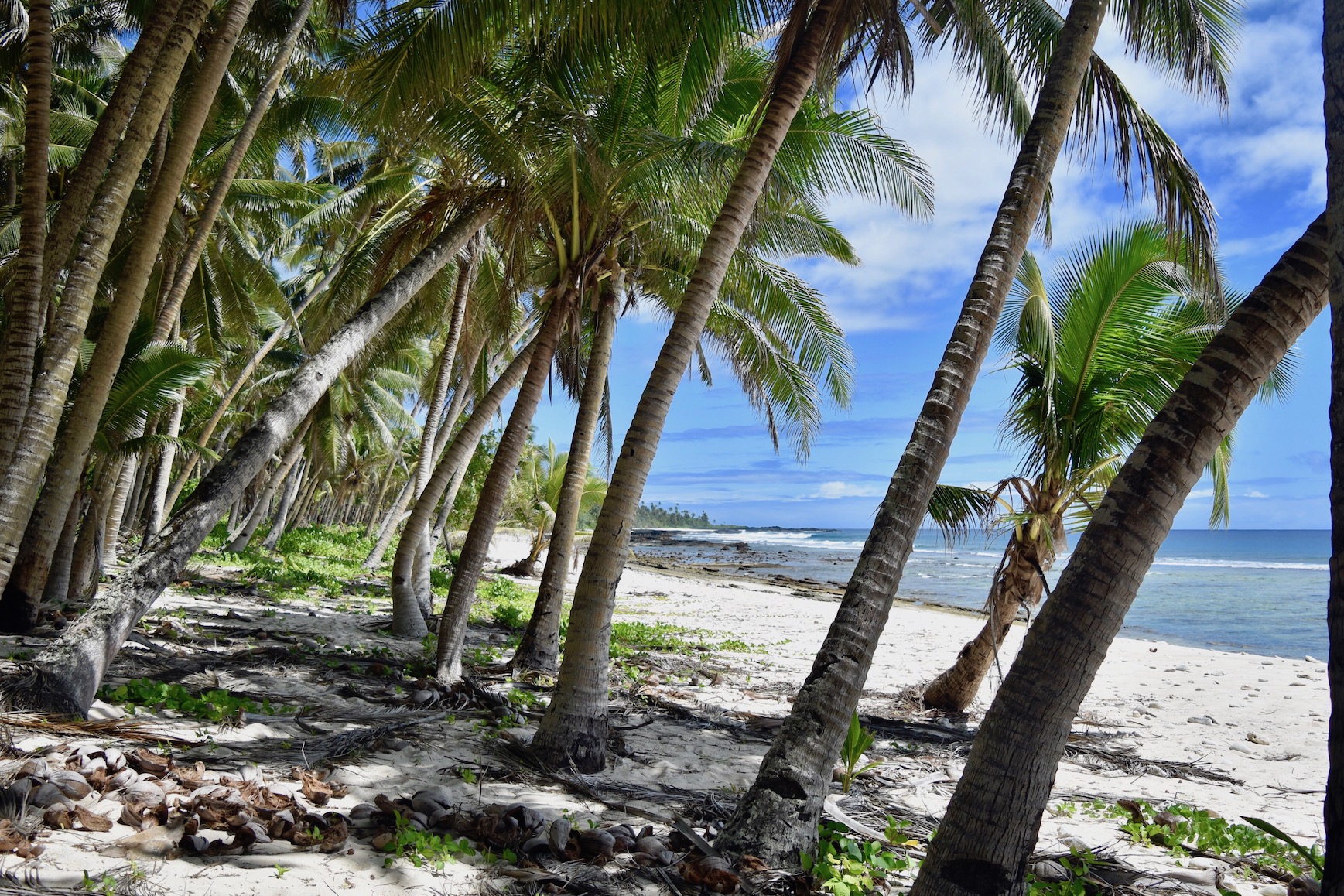 A Lovely Planet - South Pacific Island Hopping - Hayley Lewis