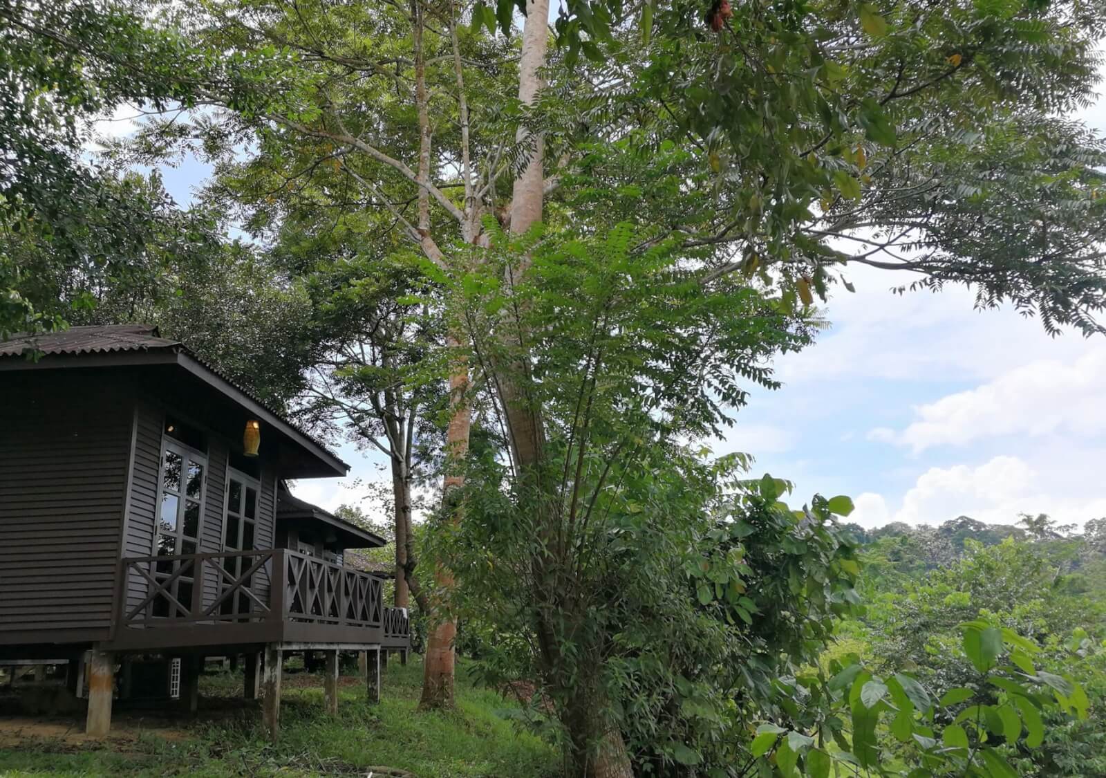 Borneo - Diving - A Lovely Planet 