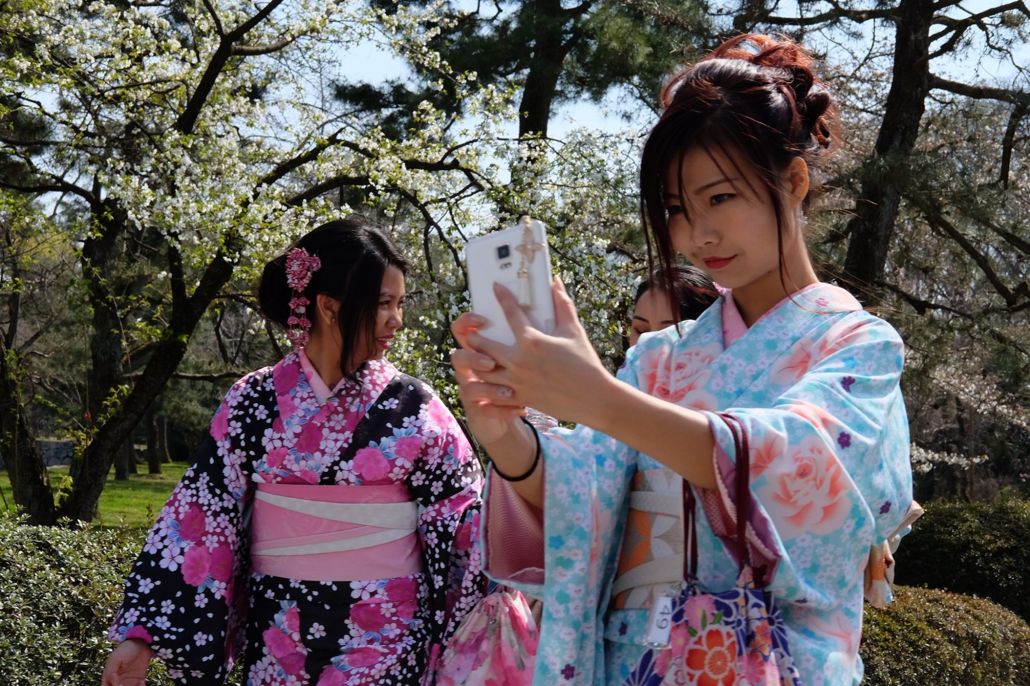 A Lovely Planet - Antonia Williams - Two Weeks in Japan 