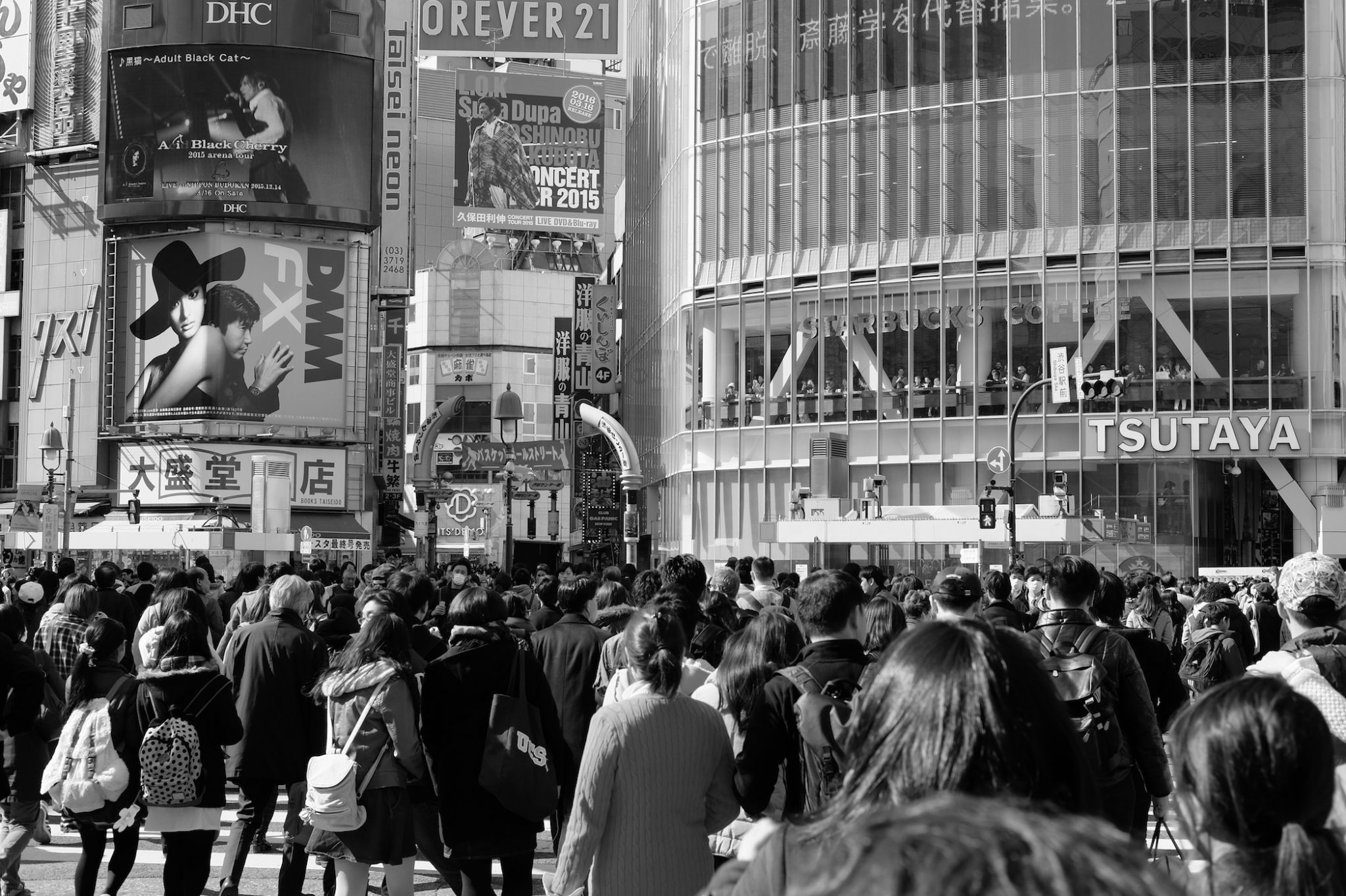 A Lovely Planet - Antonia Williams - Two Weeks in Japan 