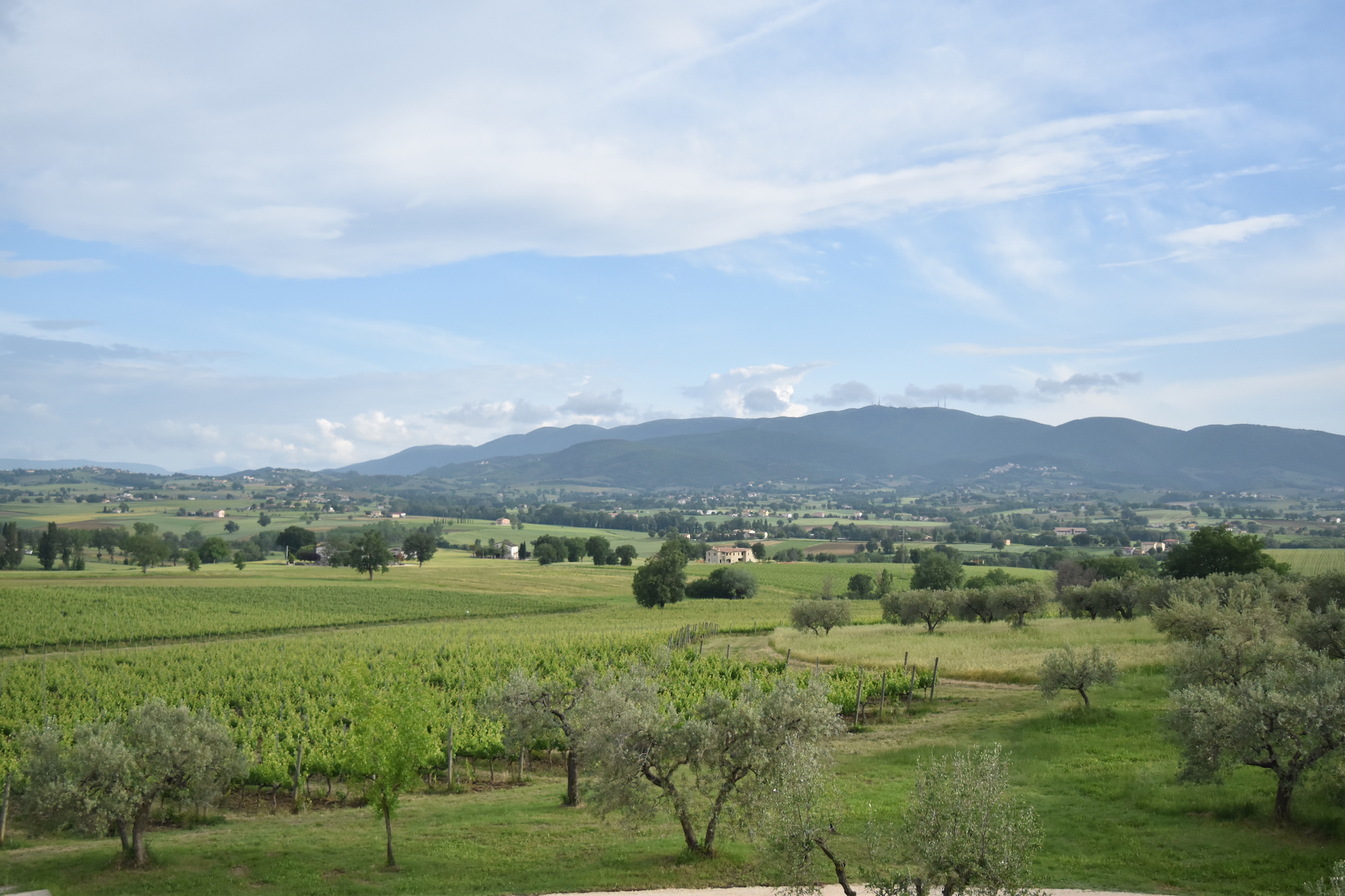 Umbria - A Lovely Planet - Hayley Lewis 