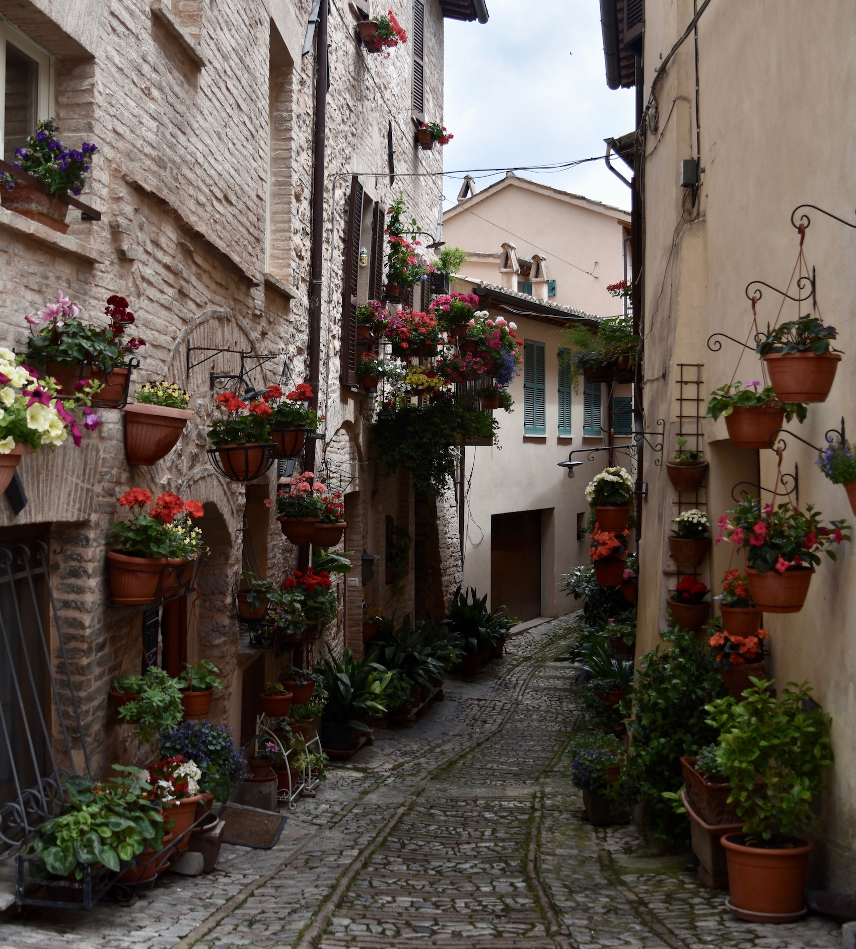 Umbria - A Lovely Planet - Hayley Lewis 