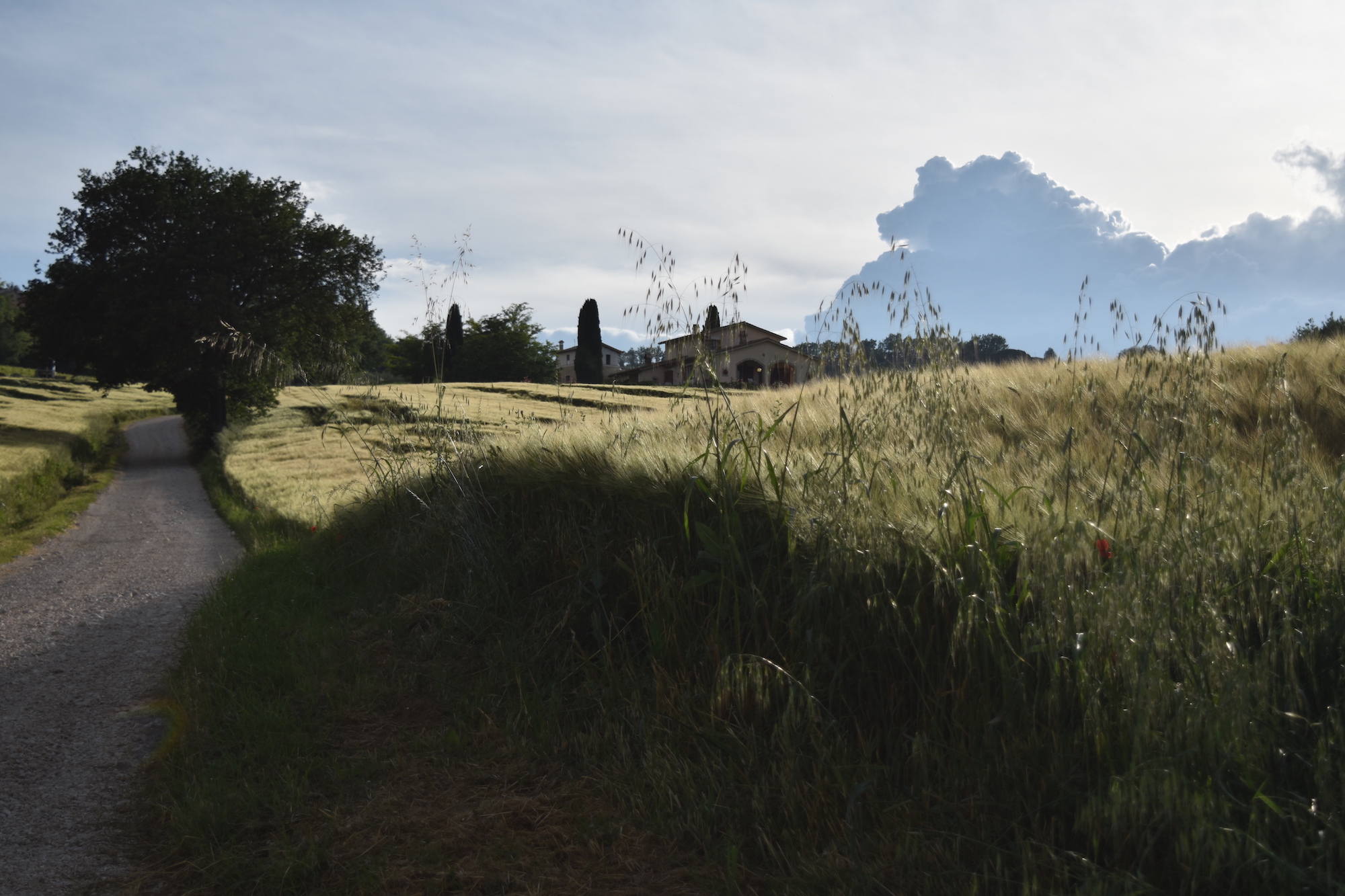 Umbria - A Lovely Planet - Hayley Lewis 