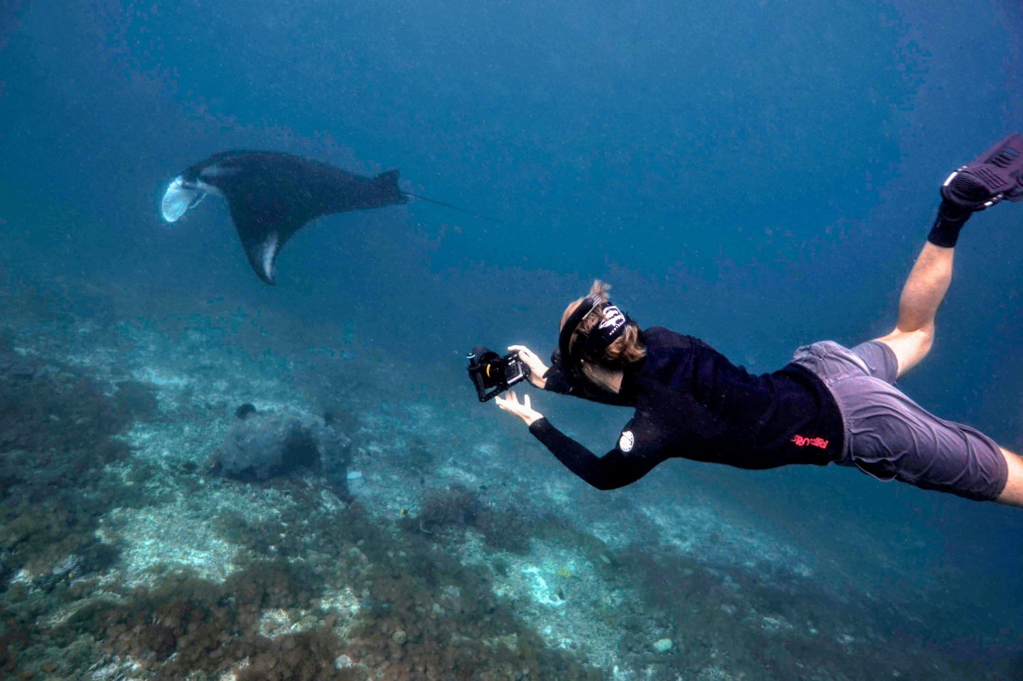 Diving Komodo - A Lovely Planet - Sarah & James