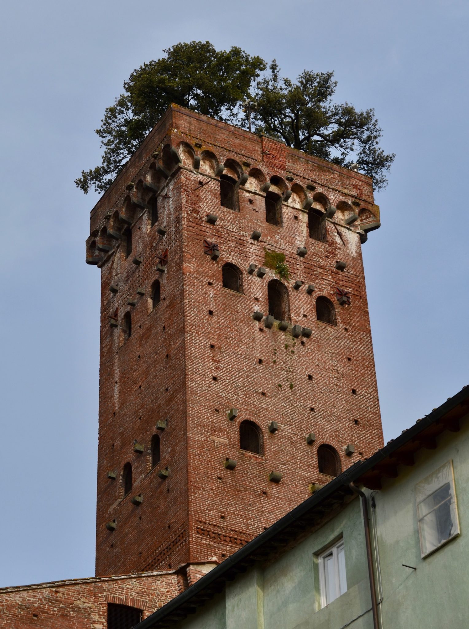 A tower with trees on top in Lucca