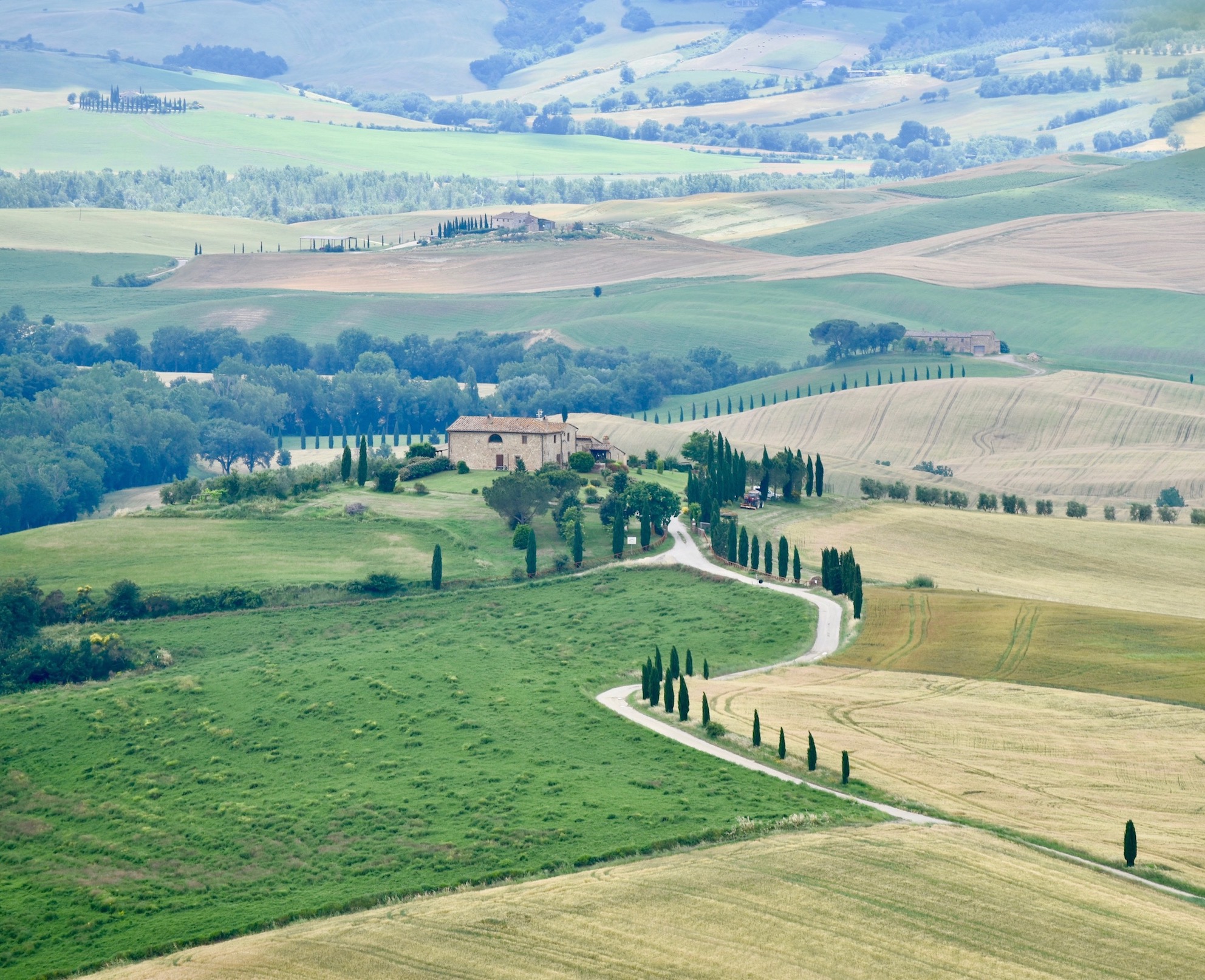 A narrow road lined with trees leads up to an old house in the Tuscan countryside of Val d'Orcia