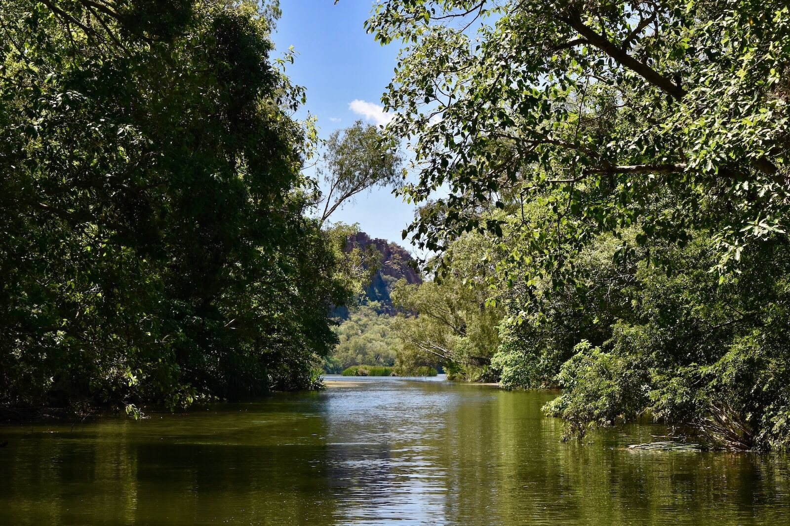 Trees lining the banks of the Ord River