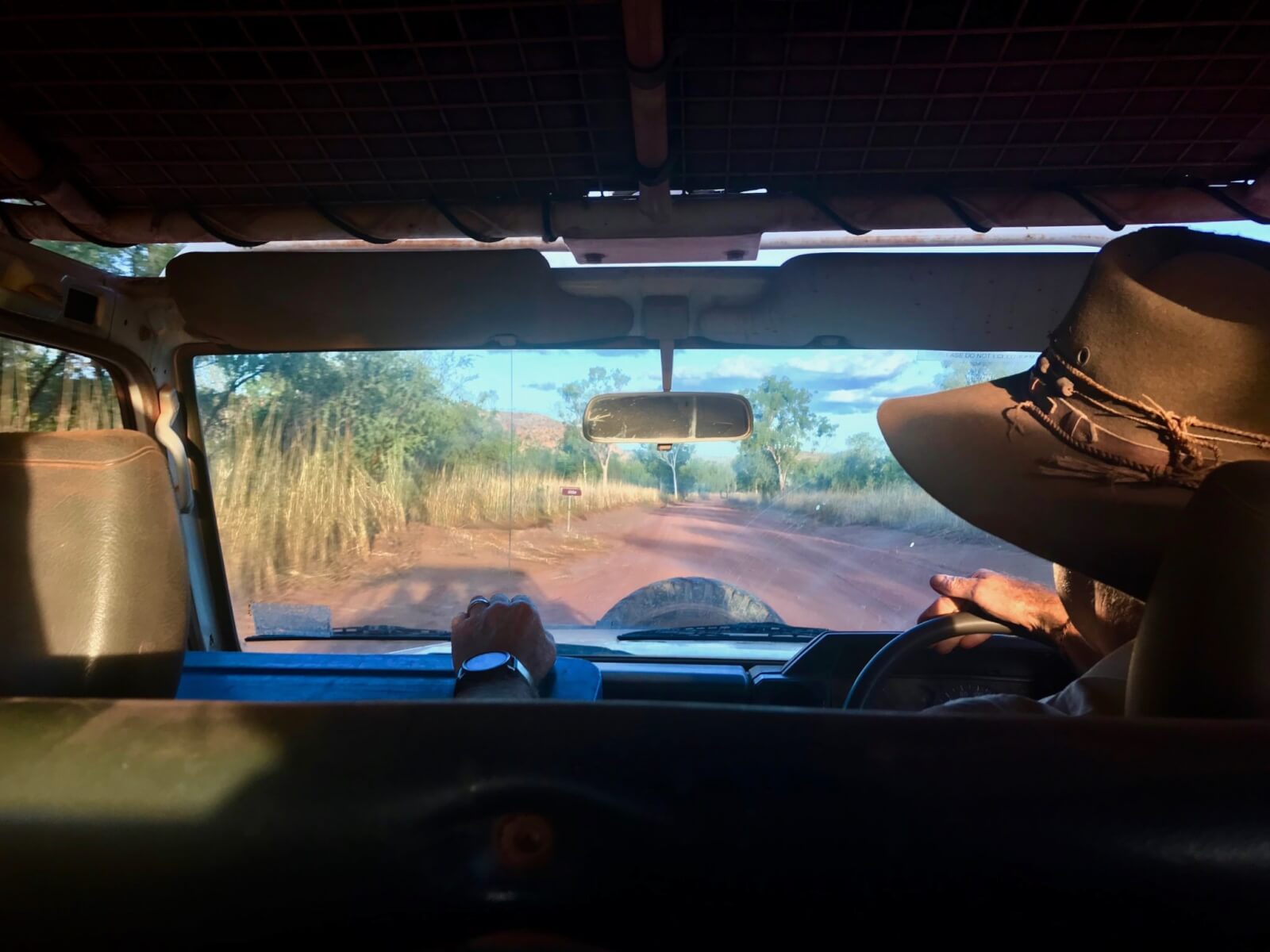 the view from the backseat of a 4X4 in the wilderness park 