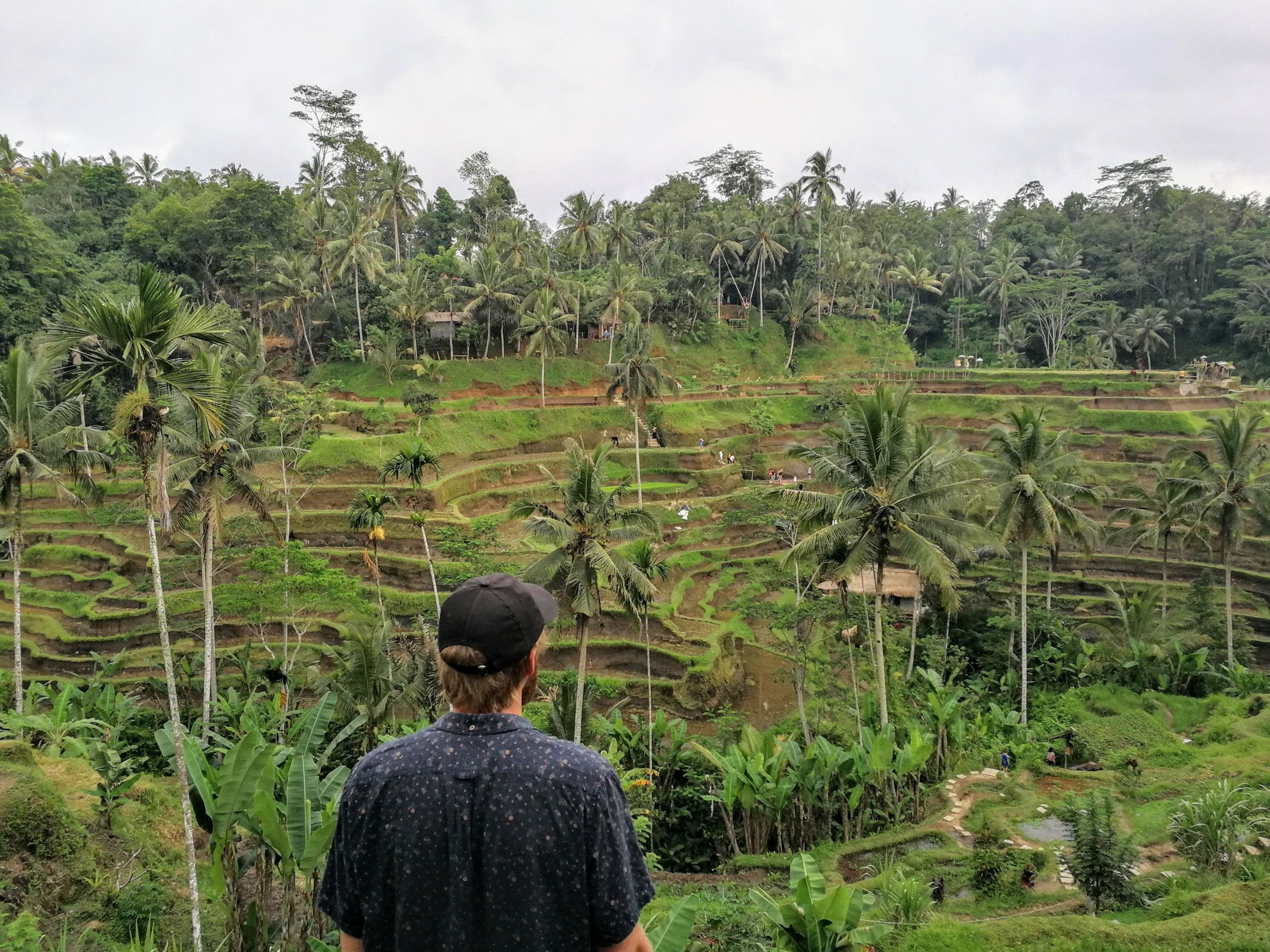 James overlooking the rice paddies 