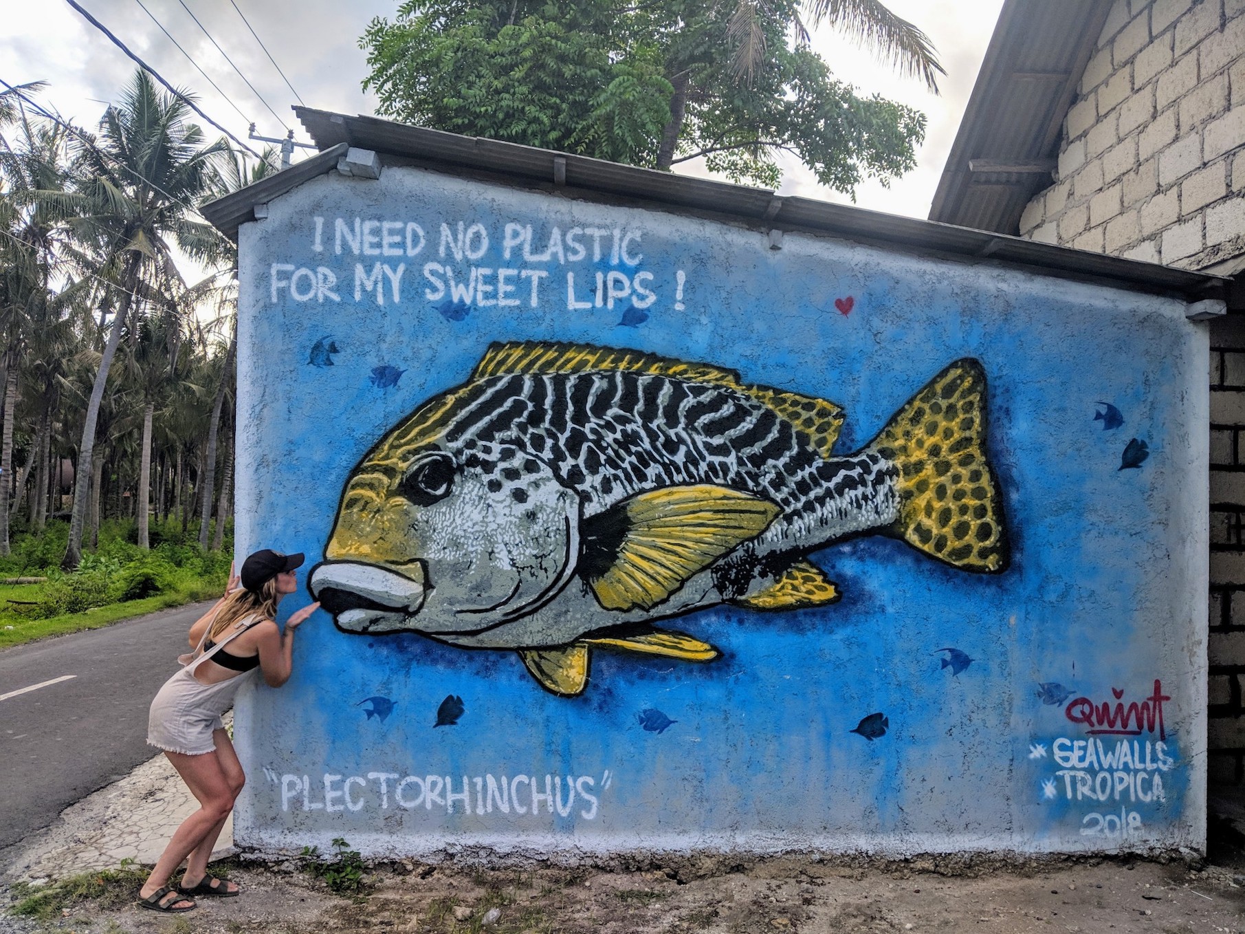 A mural of a fish and a sign about plastic pollution