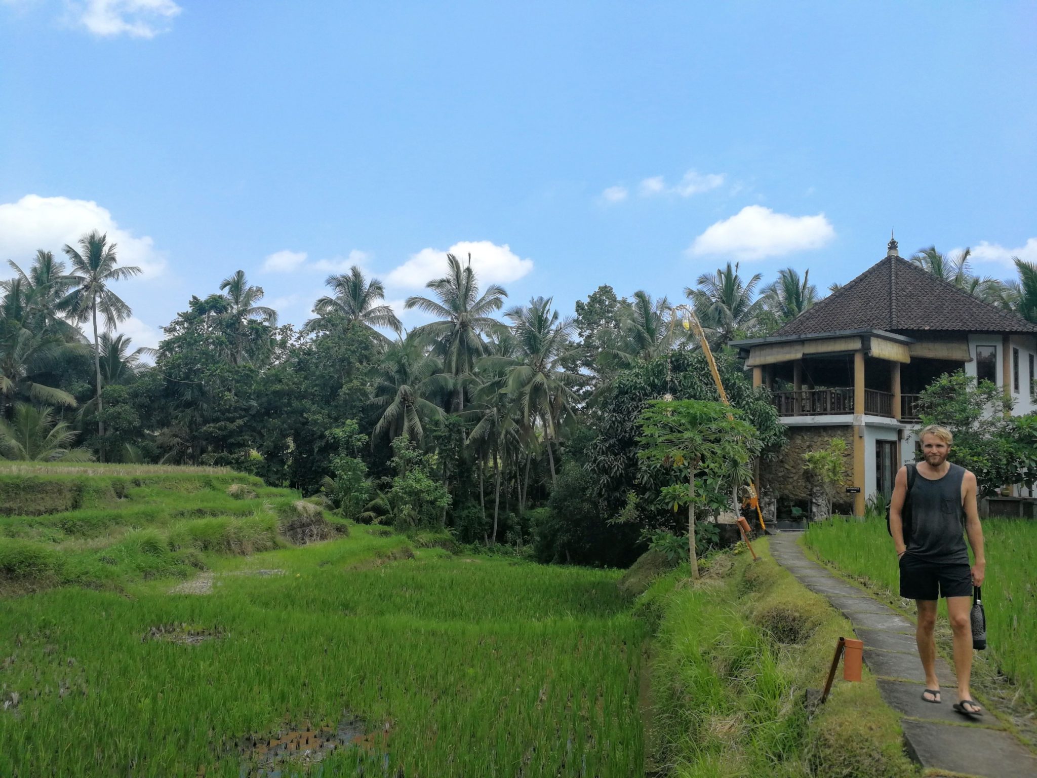 Ubud Yoga House overlooking beautiful rice fields