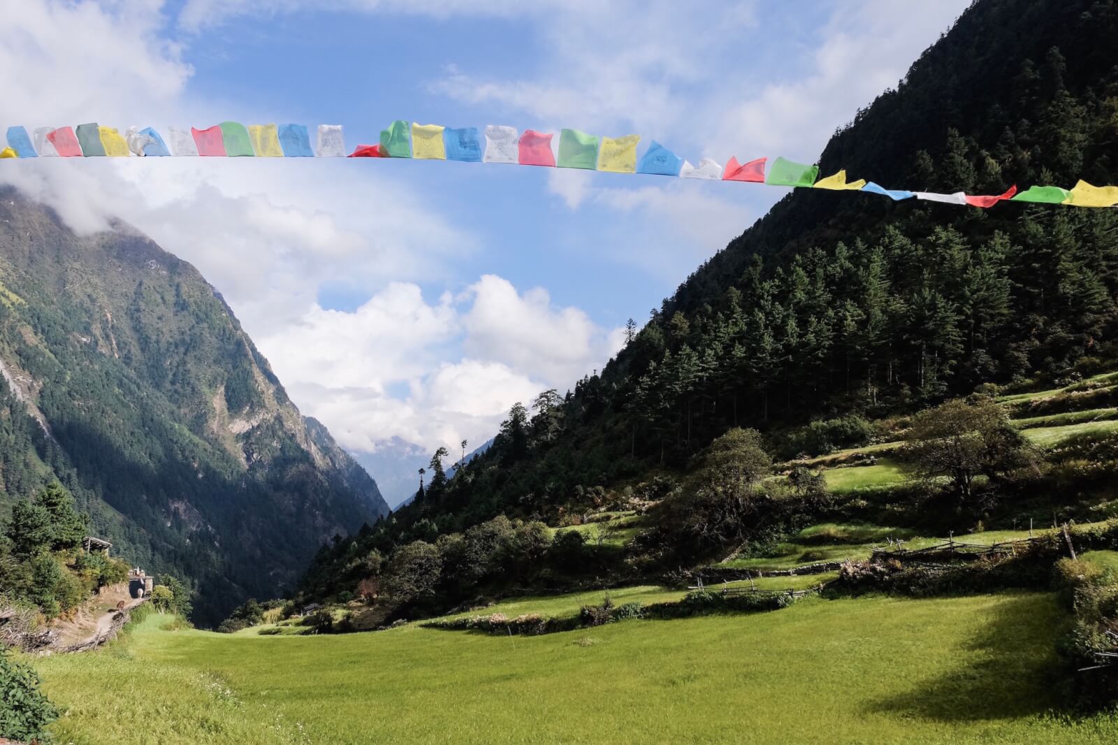 Tibetan prayer flags in front of mountains 