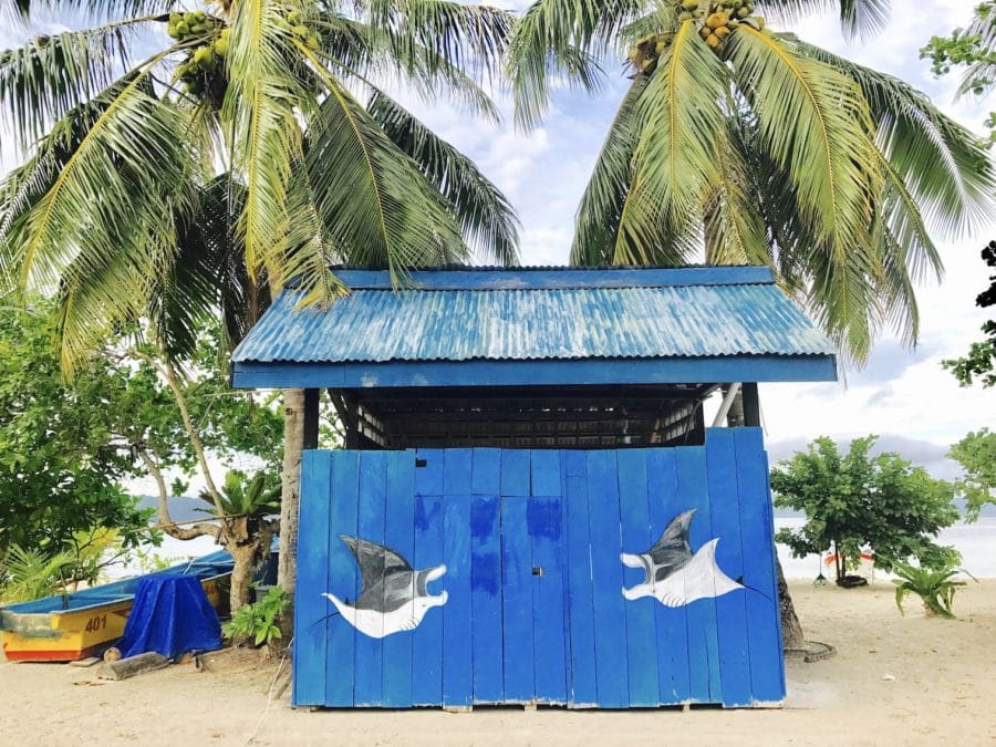 A blue hut on a palm fringed island