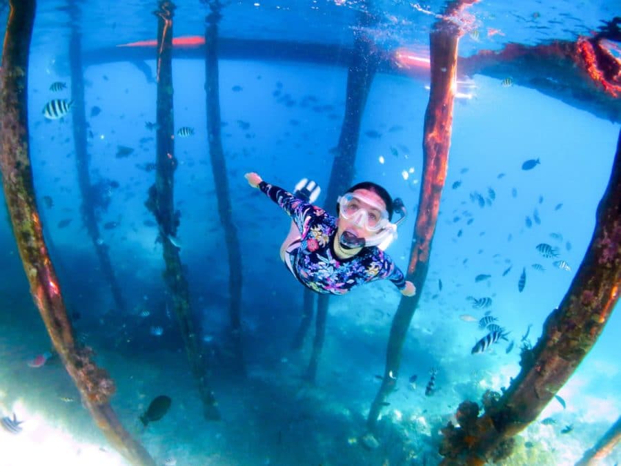 Woman snorkelling in crystal clear waters and surrounded by fish