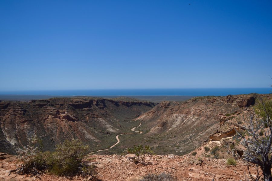 Looking out over Charles Knife Canyon with the ocean in the background