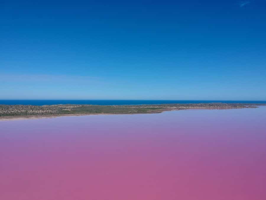 the incredible pink coloured lake of Hutt Lagoon contrasting with the blue sky and ocean 