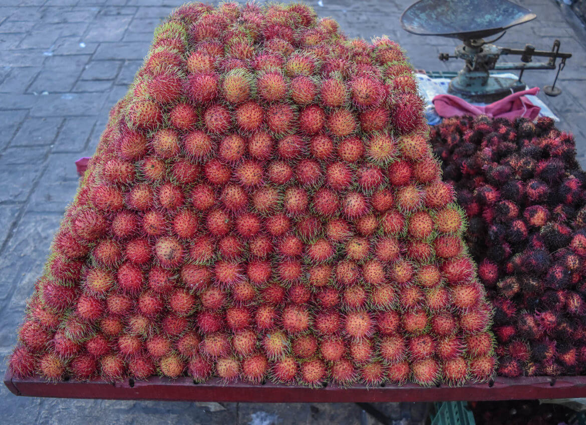 The Ultimate Yucatan Road Trip - A 2 and 3 Week Yucatan Itinerary