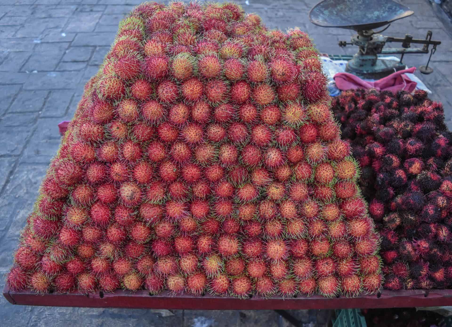 The Ultimate Yucatan Road Trip - A 2 and 3 Week Yucatan Itinerary