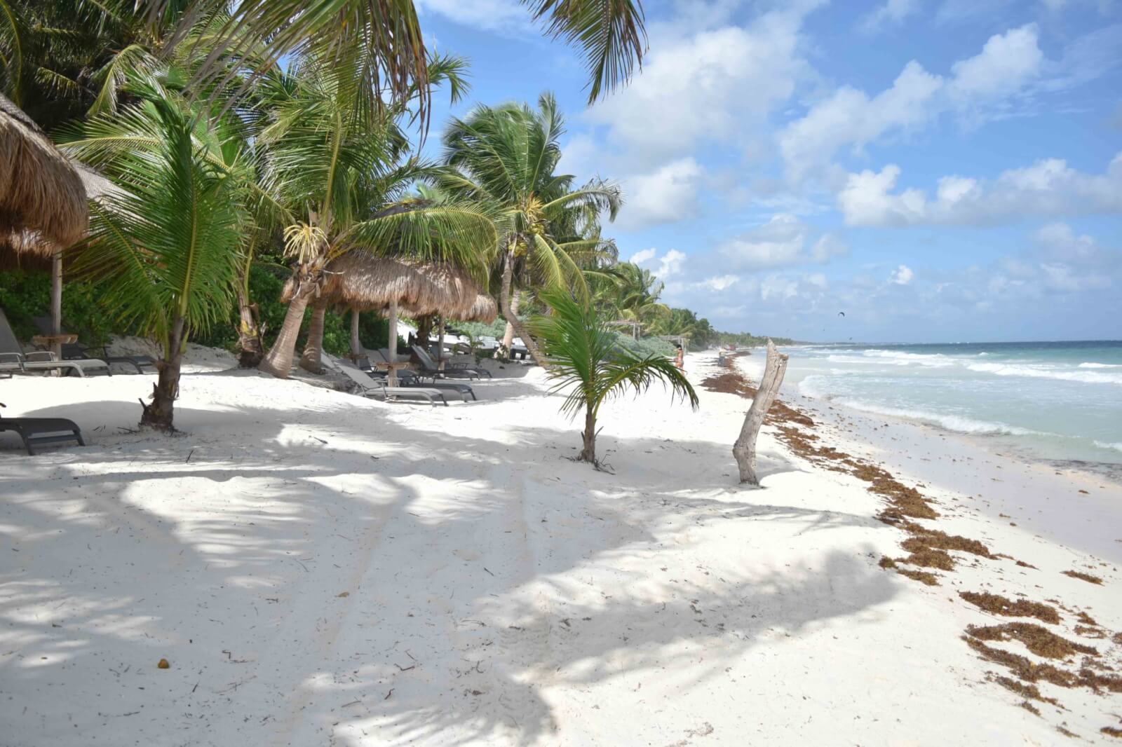 white sands and palm trees of Tulum beach 