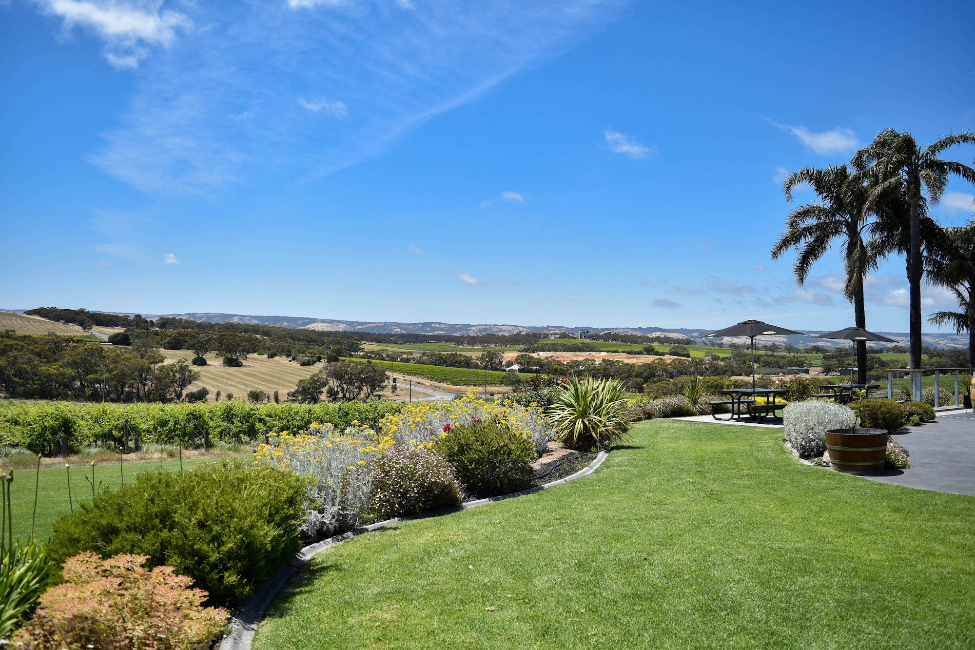 Views of vineyards from a beautifully manicured gardens at Mollydooker. One of my favourite wineries in McLaren Vale.