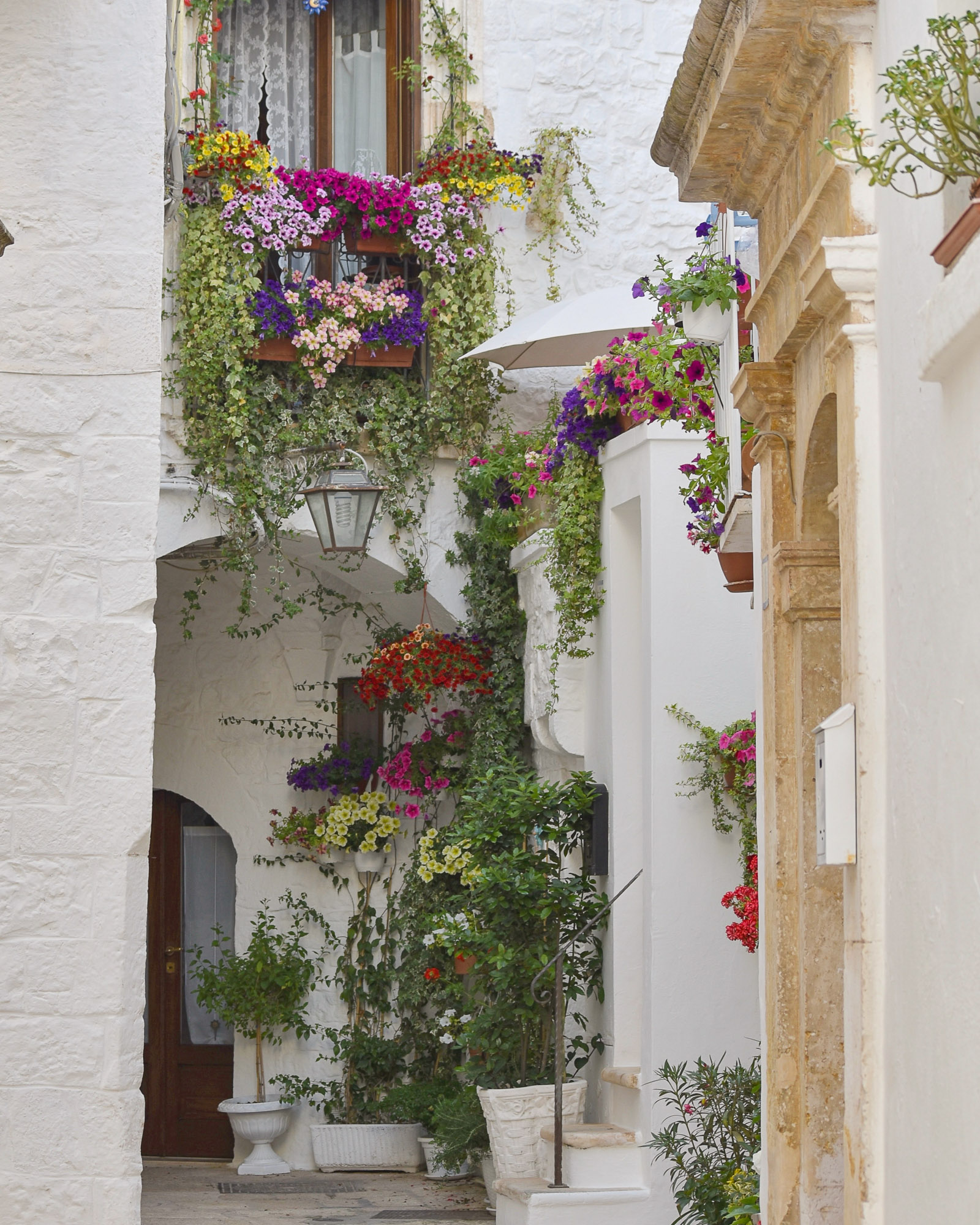 A narrow white walled lane filled with colourful flowers