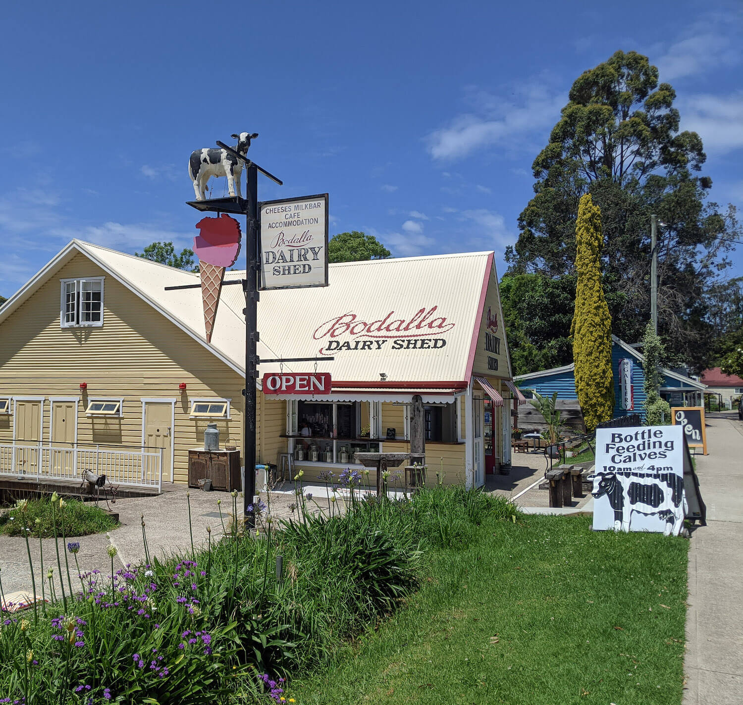 Bodalla Dairy