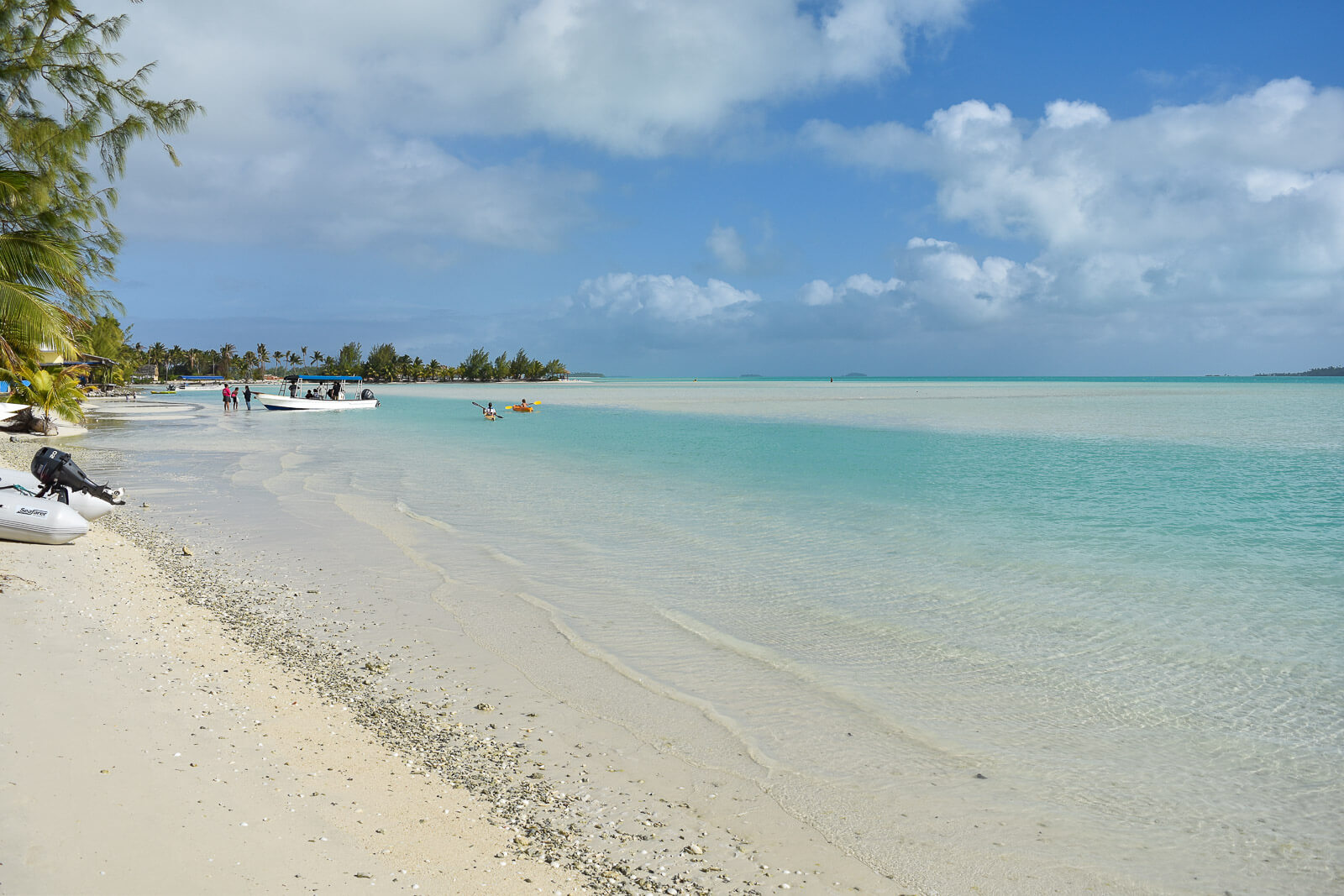 a white sand beach with palm trees and turquoise water