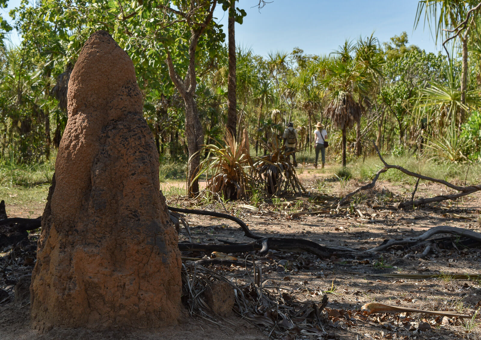 A termite mound with people walking in the distance 