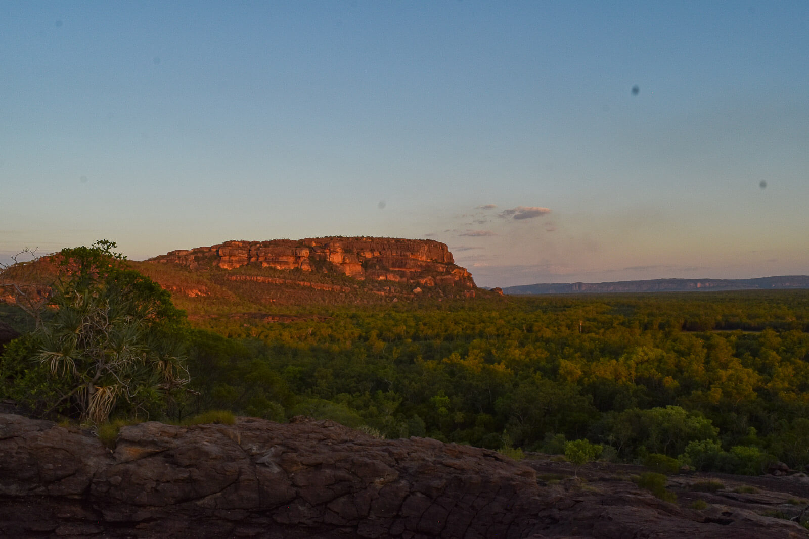 A large red rock surrounded by forest 