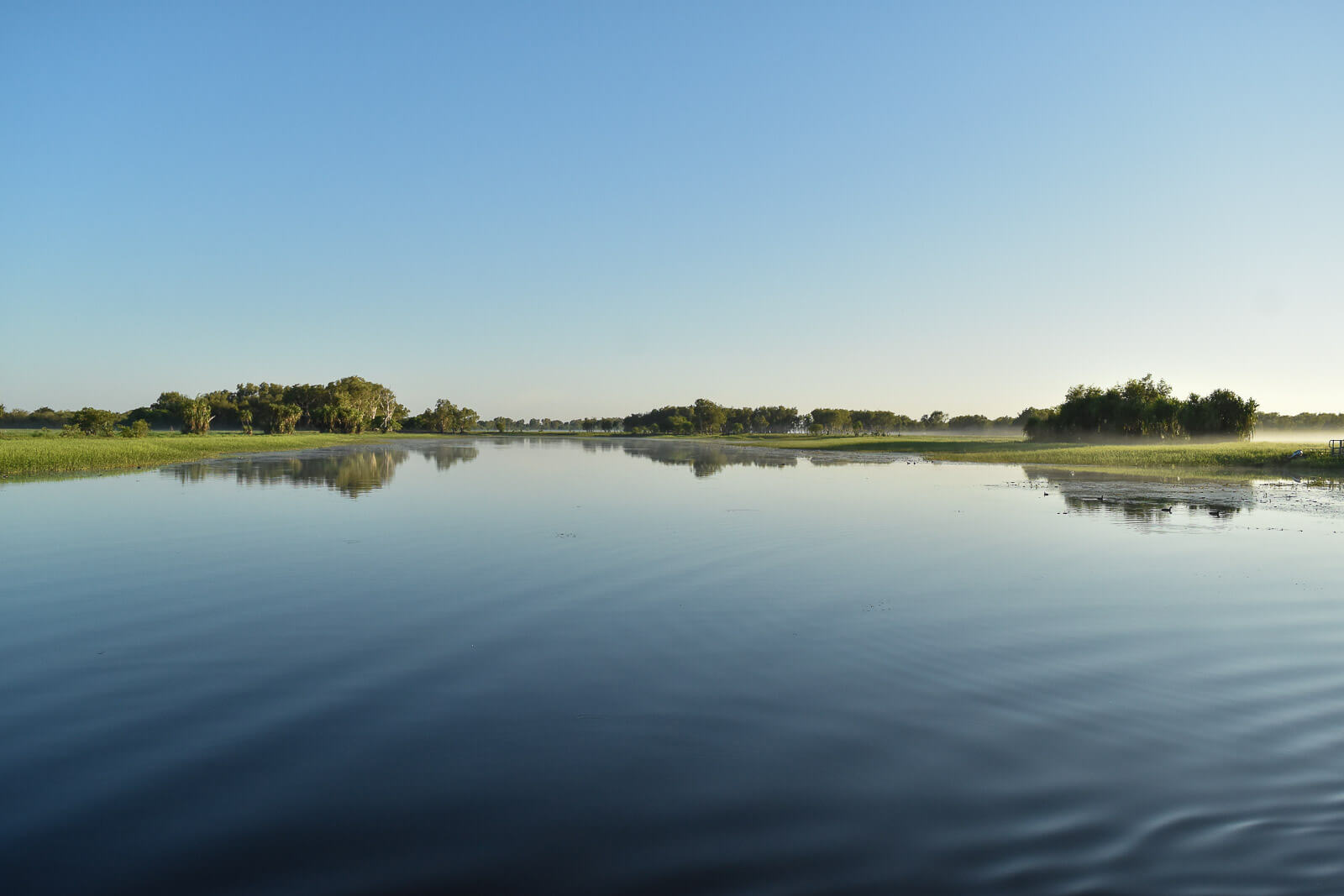 A wide billabong with mist on the water