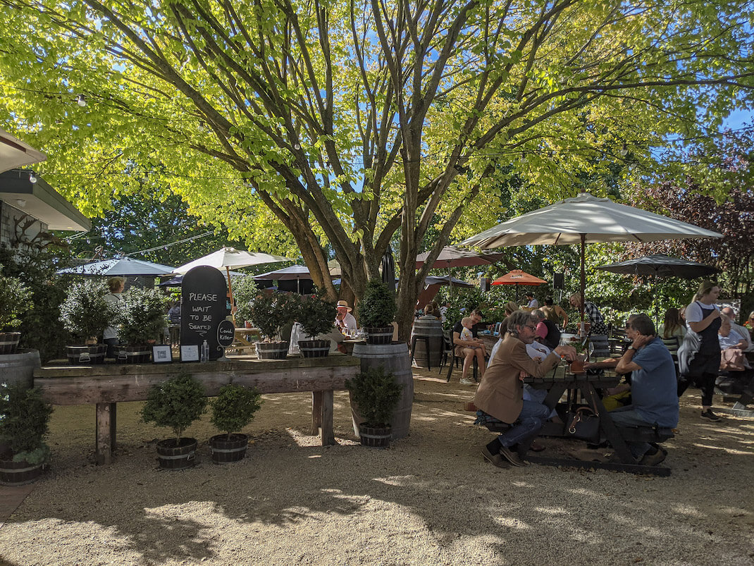 The beer garden at the Clarendon Arms 