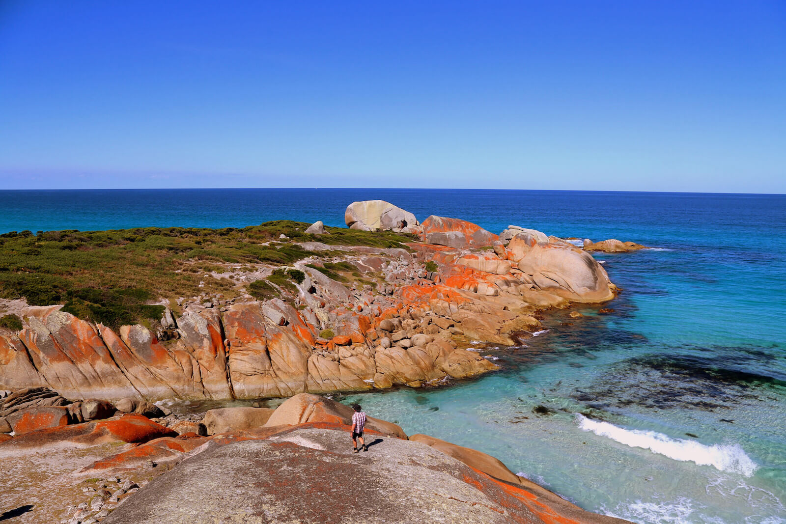 Red lichen covered rock and blue water in the Bay of Fires 