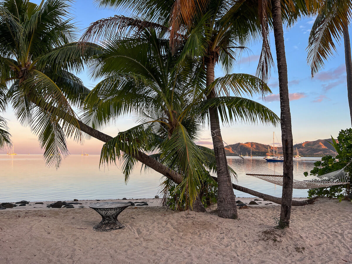 A hammock among palm trees in Fiji