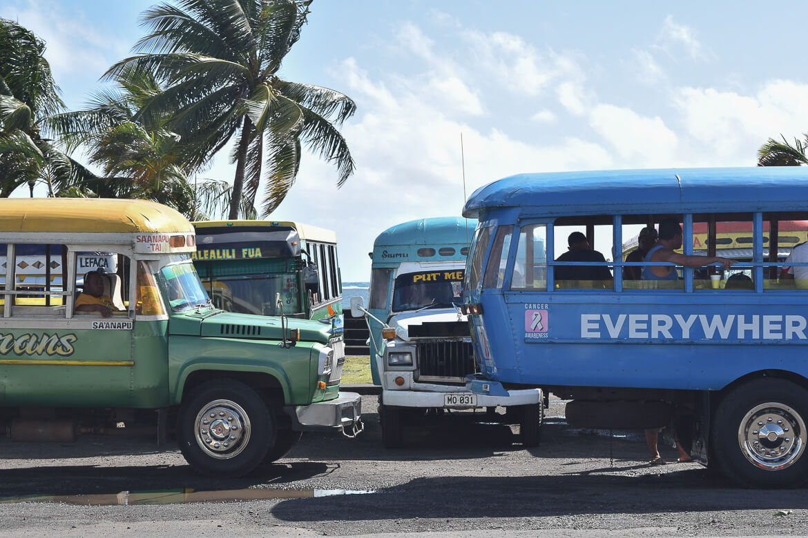 Samoan buses