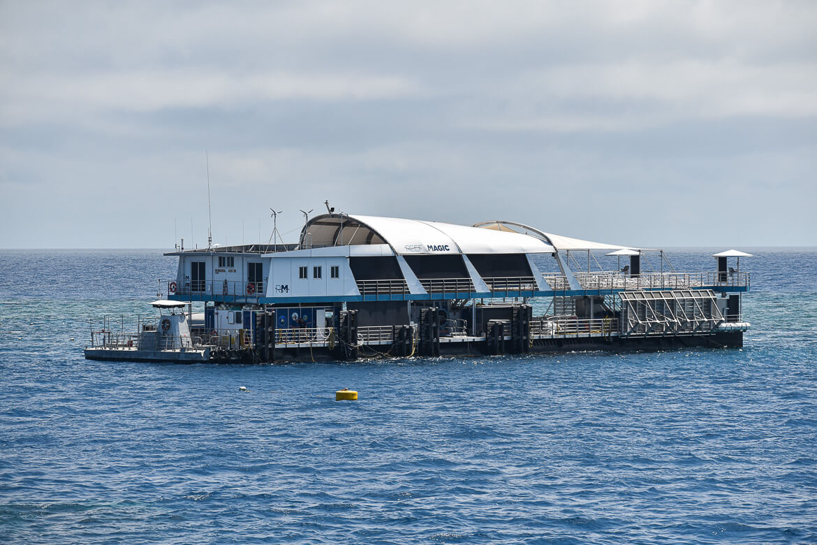 Reef Magic Pontoon