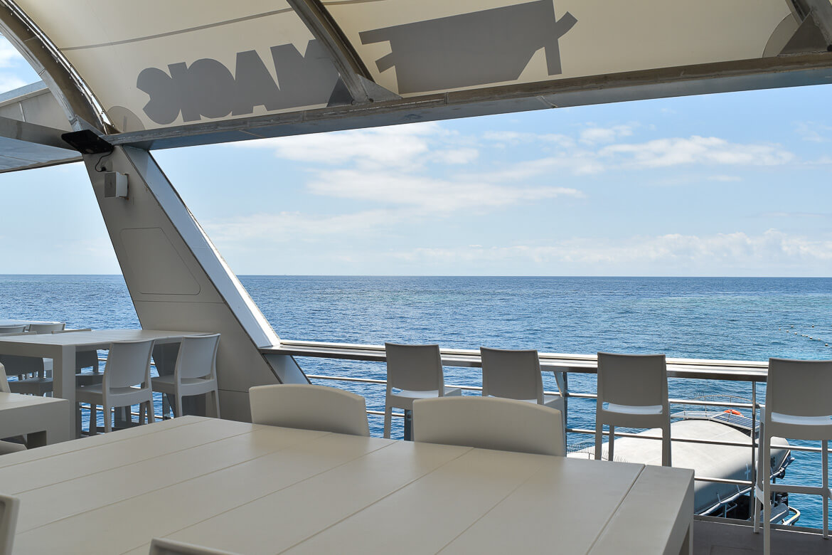 A bar on a pontoon overlooking the Great Barrier Reef